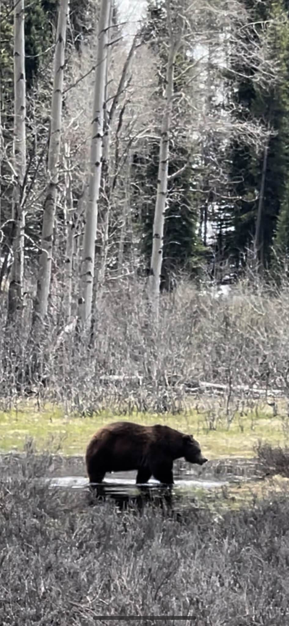 Pacific Creek Campground