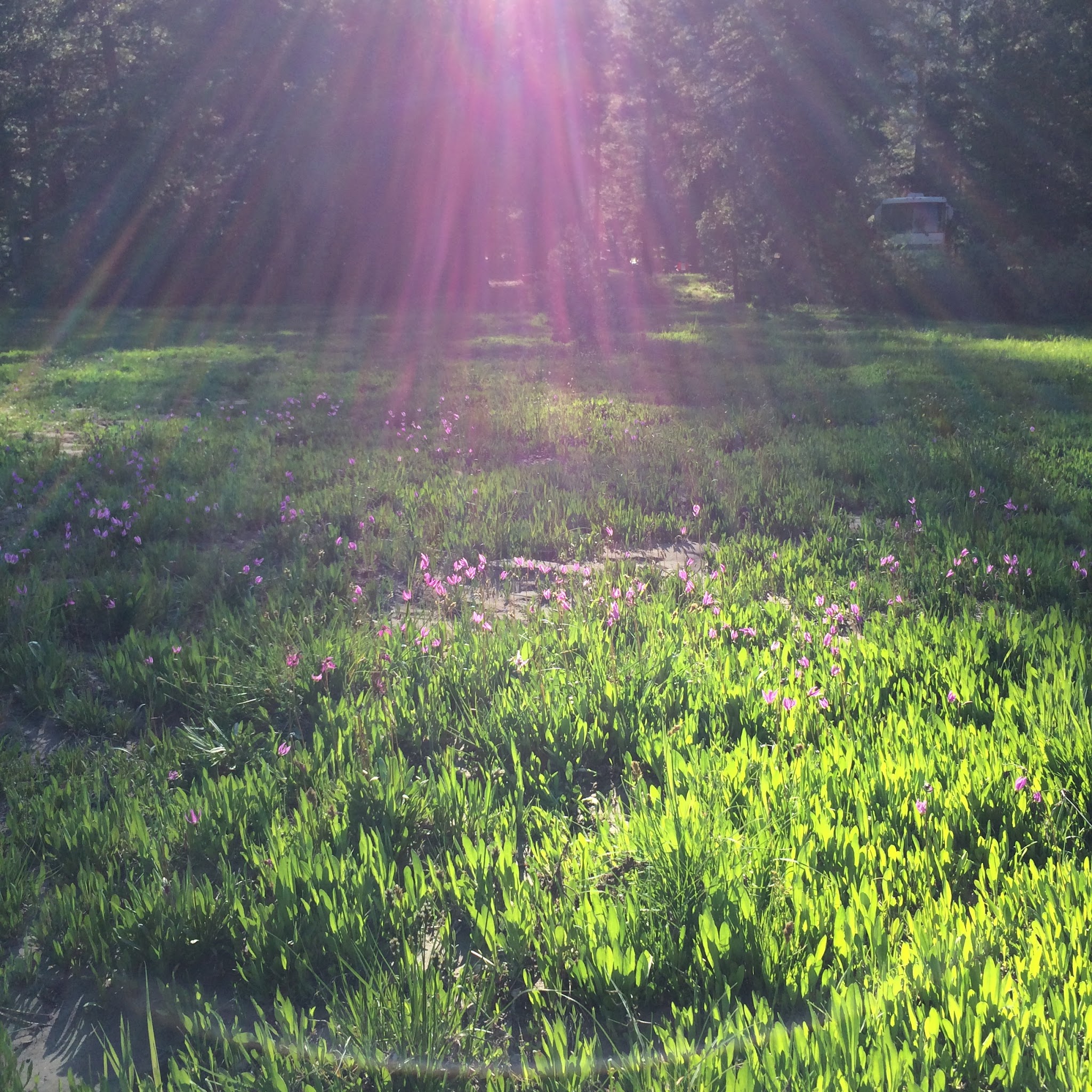 Pacific Valley Campground