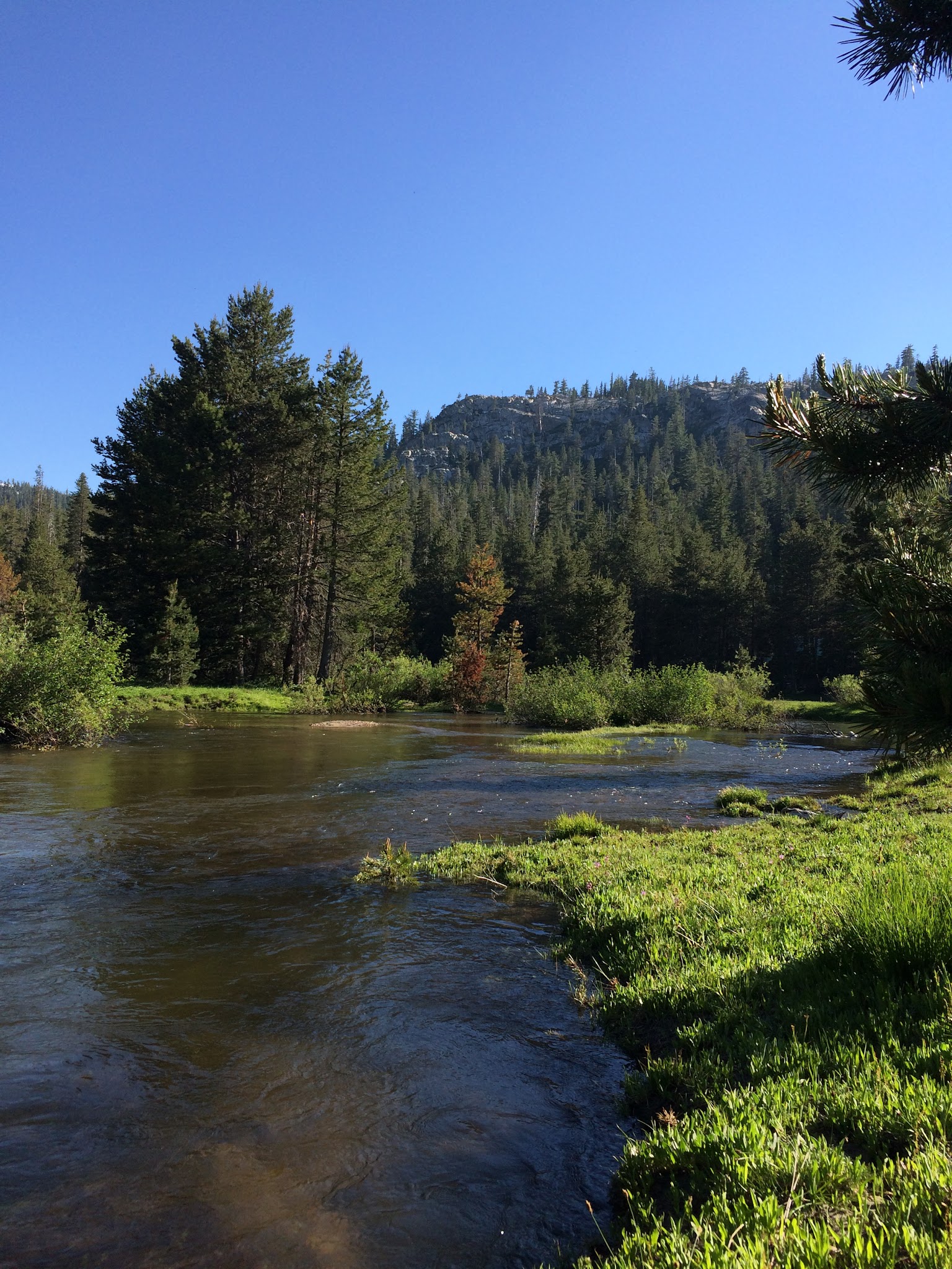 Pacific Valley Campground