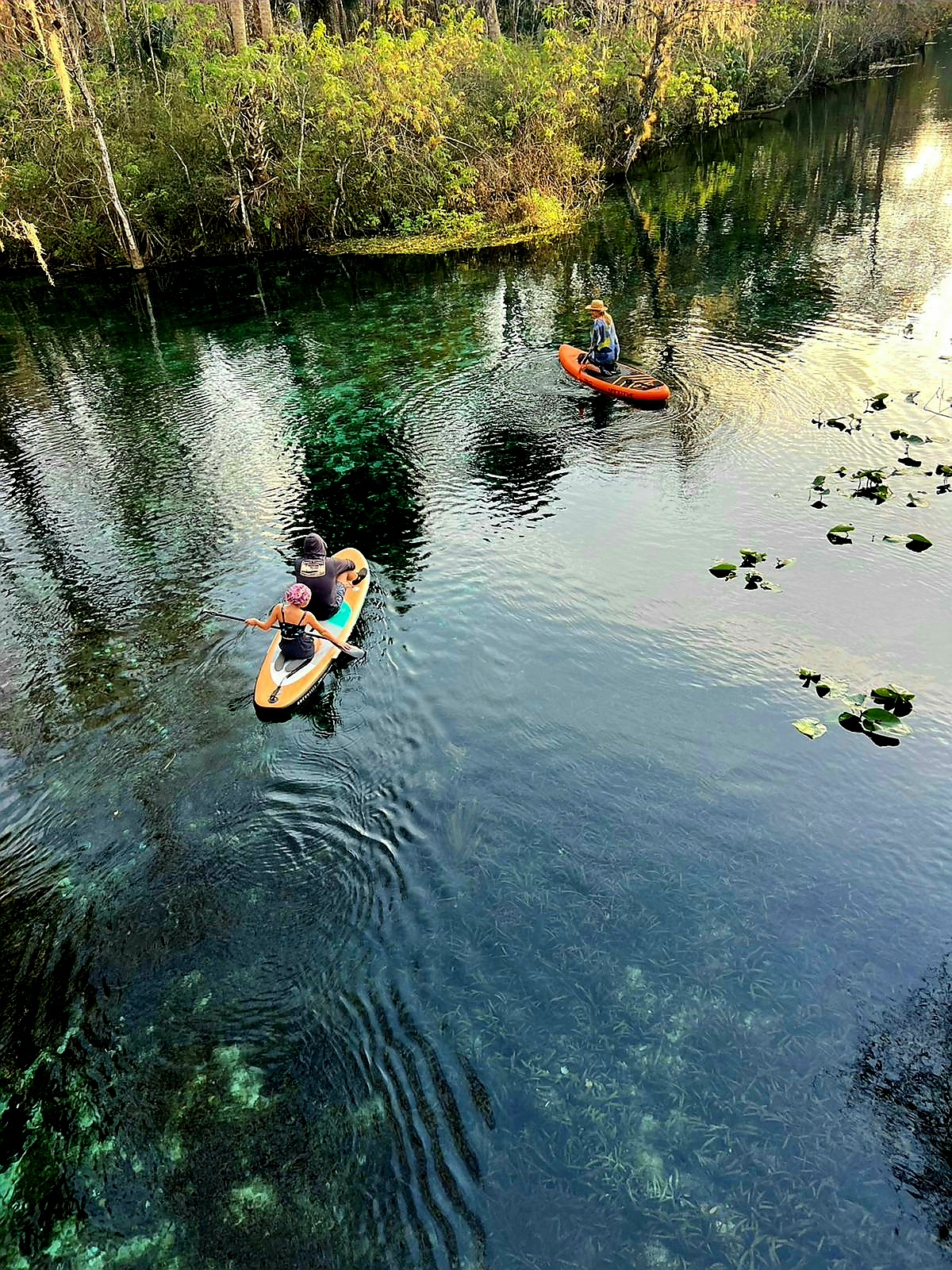 Silver Springs State Park Campground