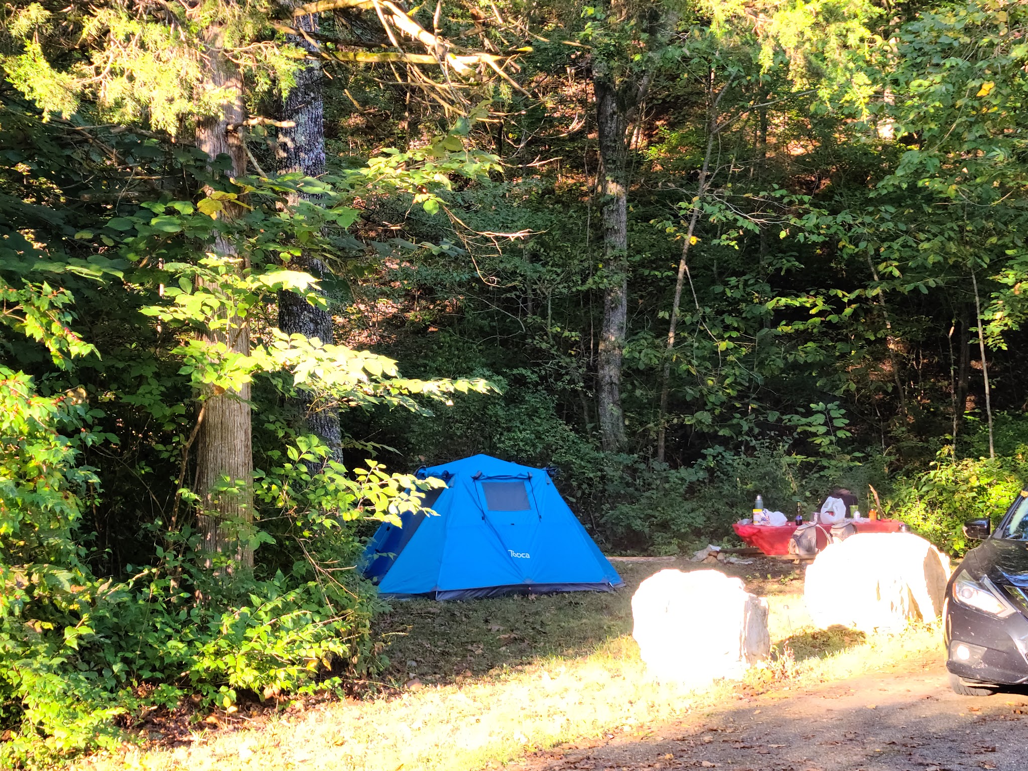 Paddy Creek Campground