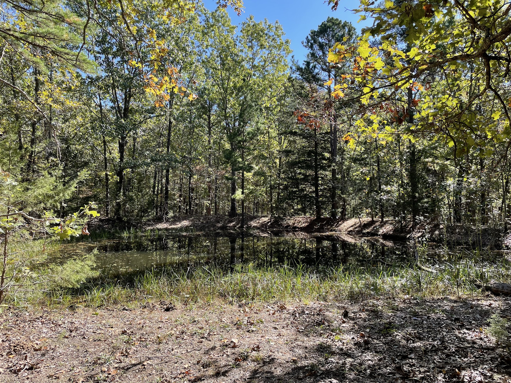 Paddy Creek Campground
