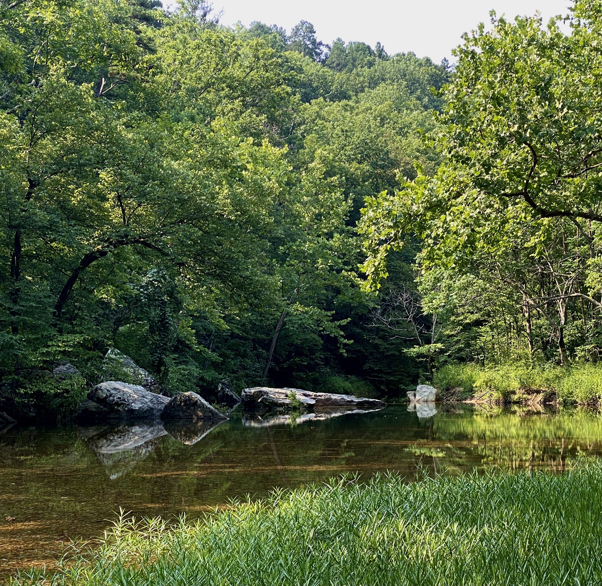 Paddy Creek Campground