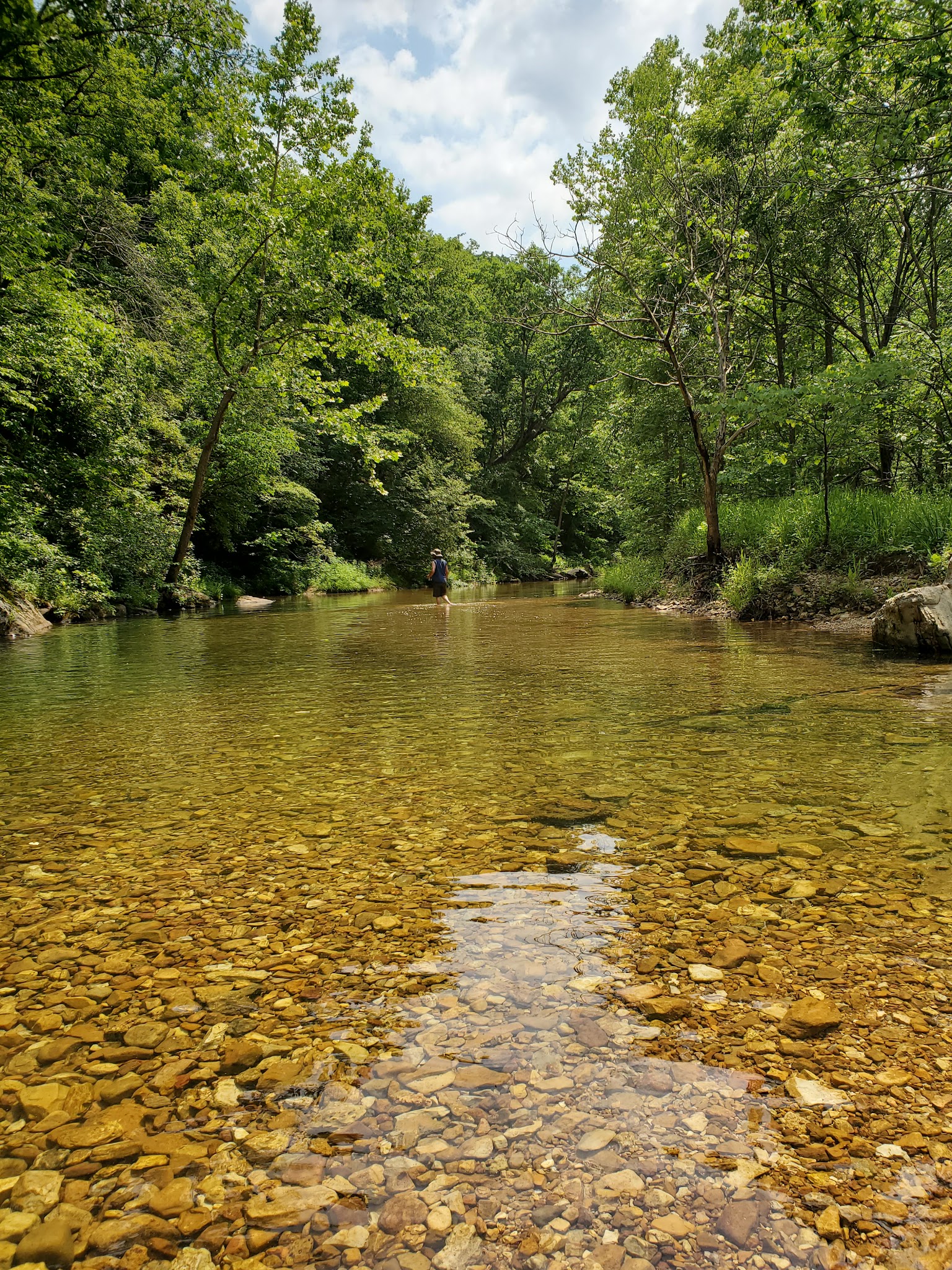 Paddy Creek Campground