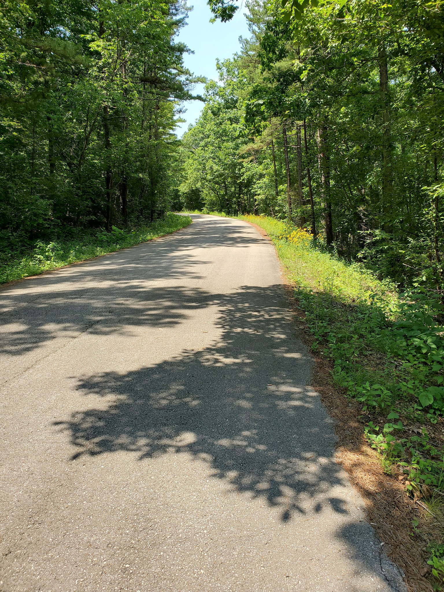 Paddy Creek Campground