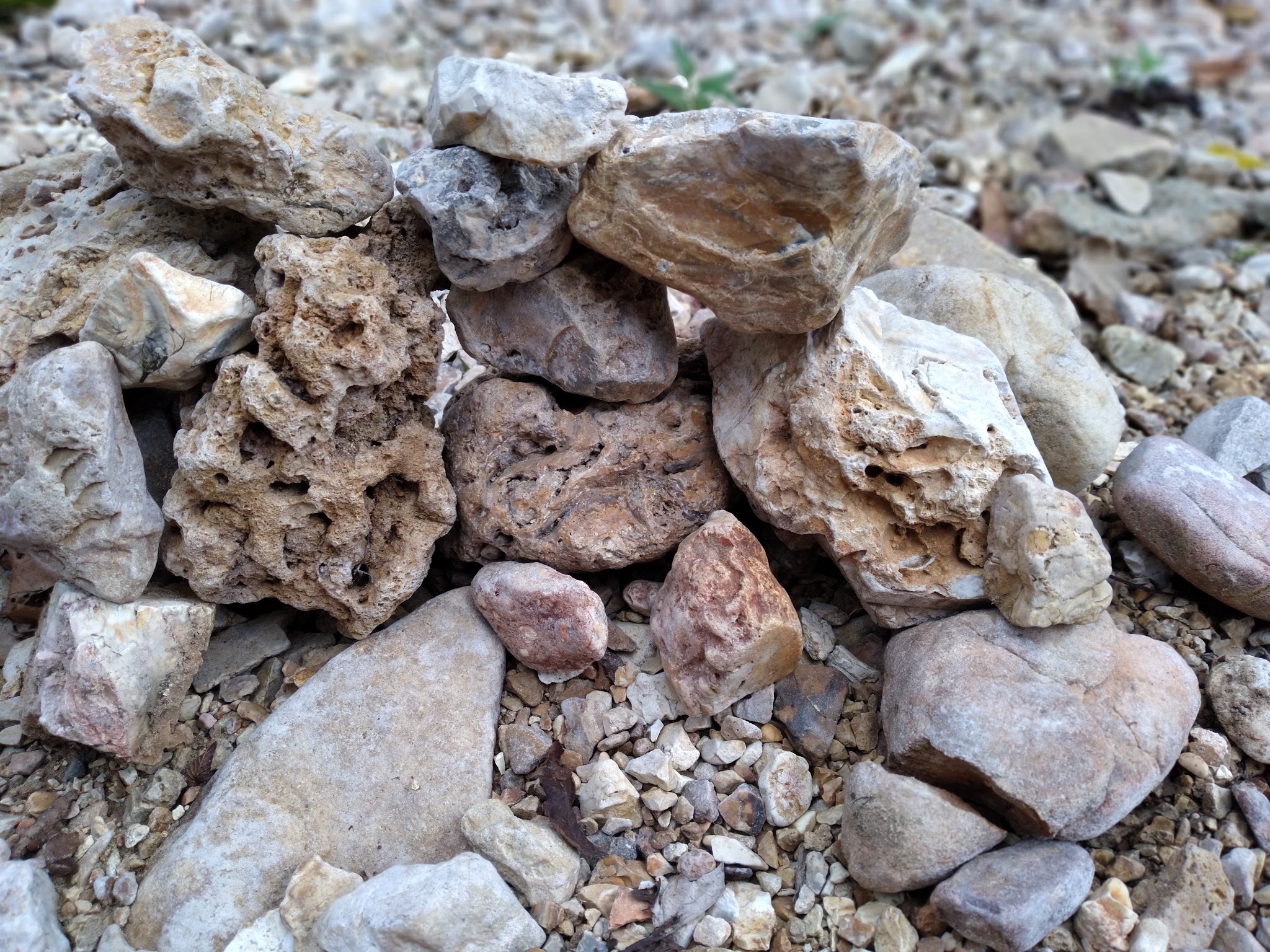 Paddy Creek Campground