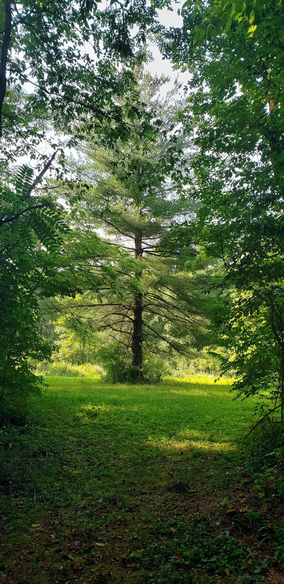 Paint Creek Equestrian Campground