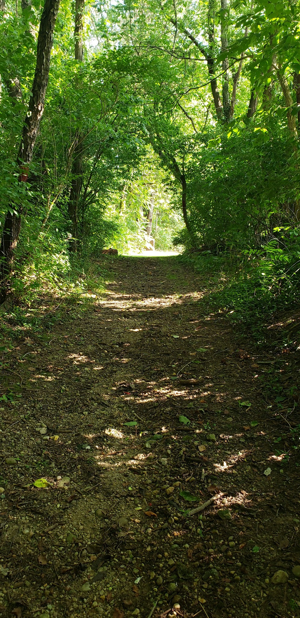 Paint Creek Equestrian Campground