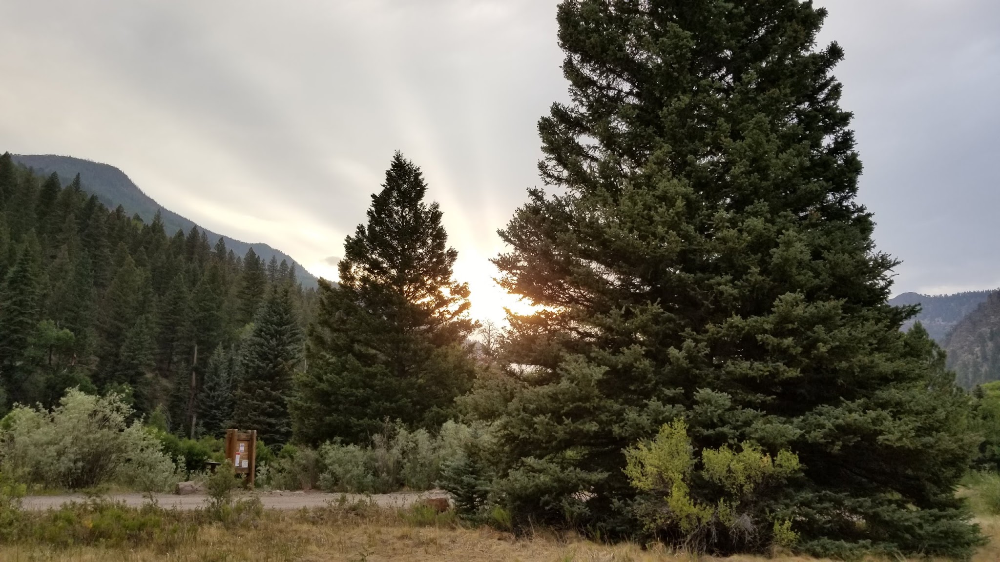 Palisade Campground
