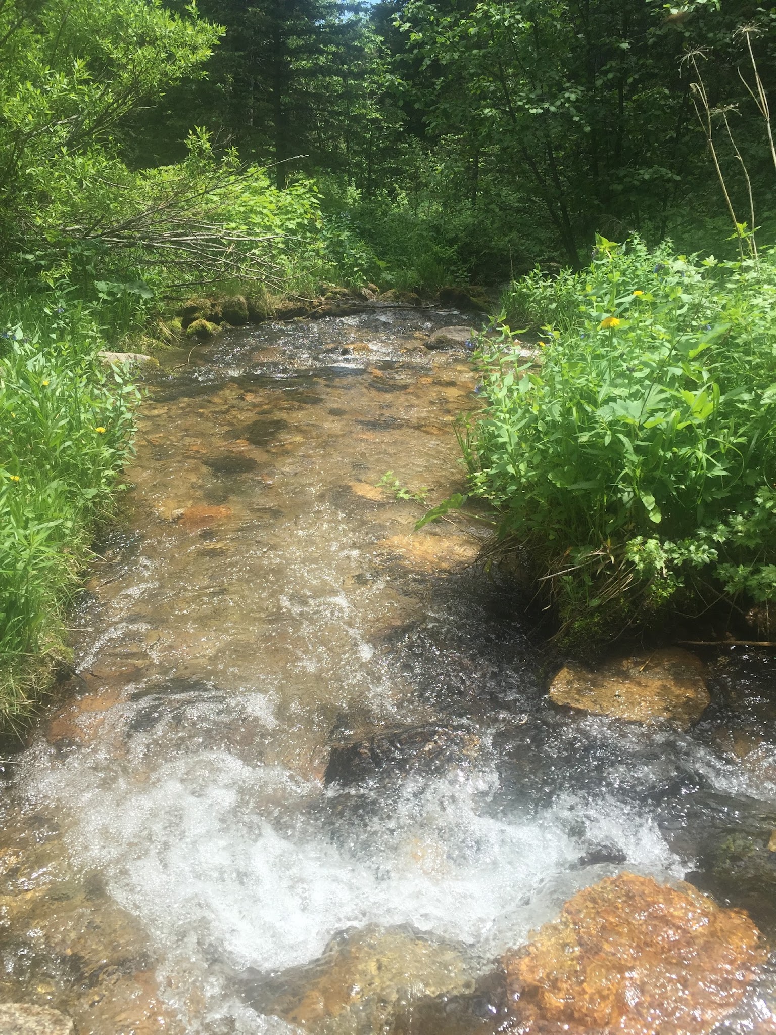 Palisades Campground