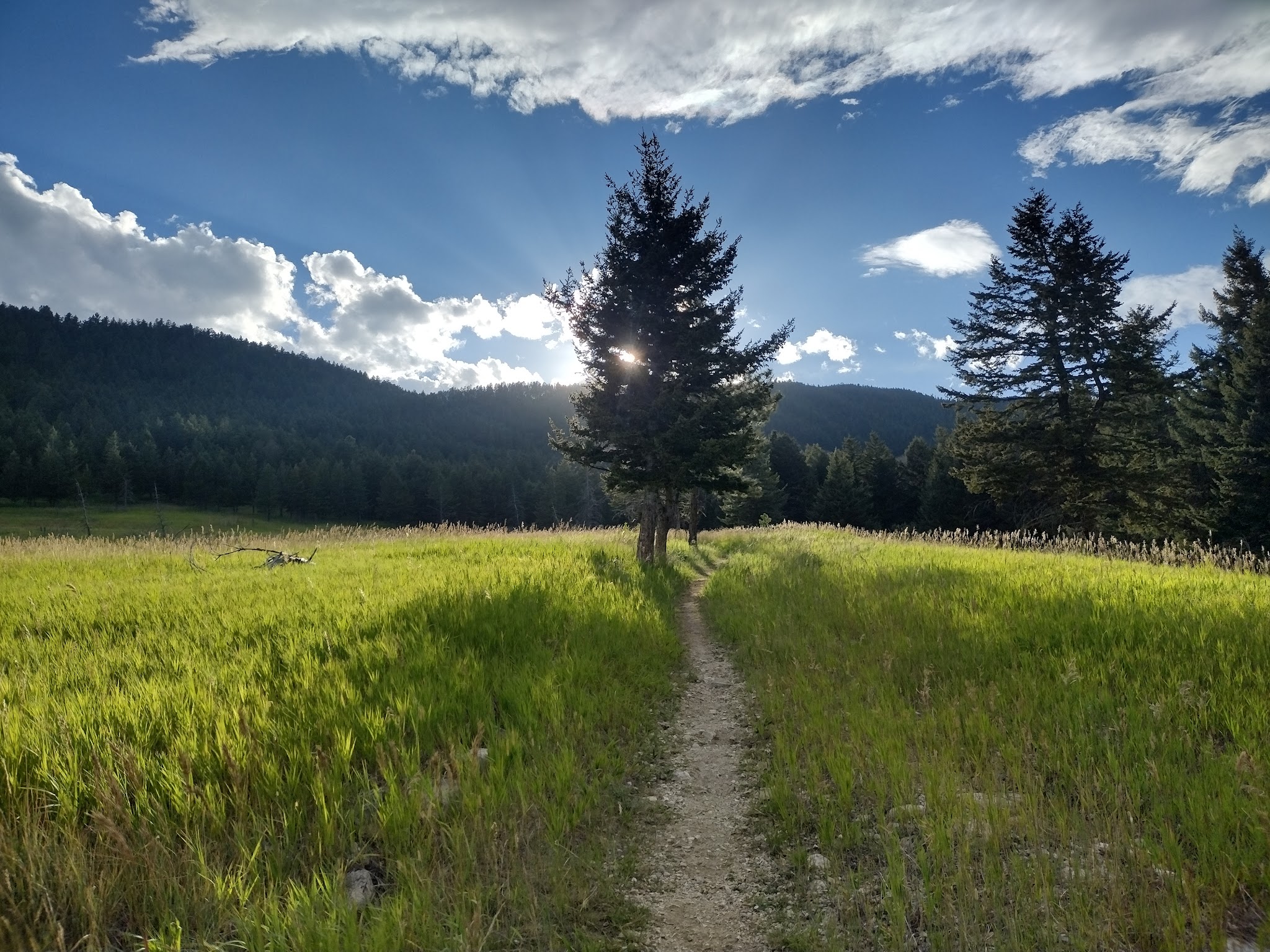 Palisades Campground