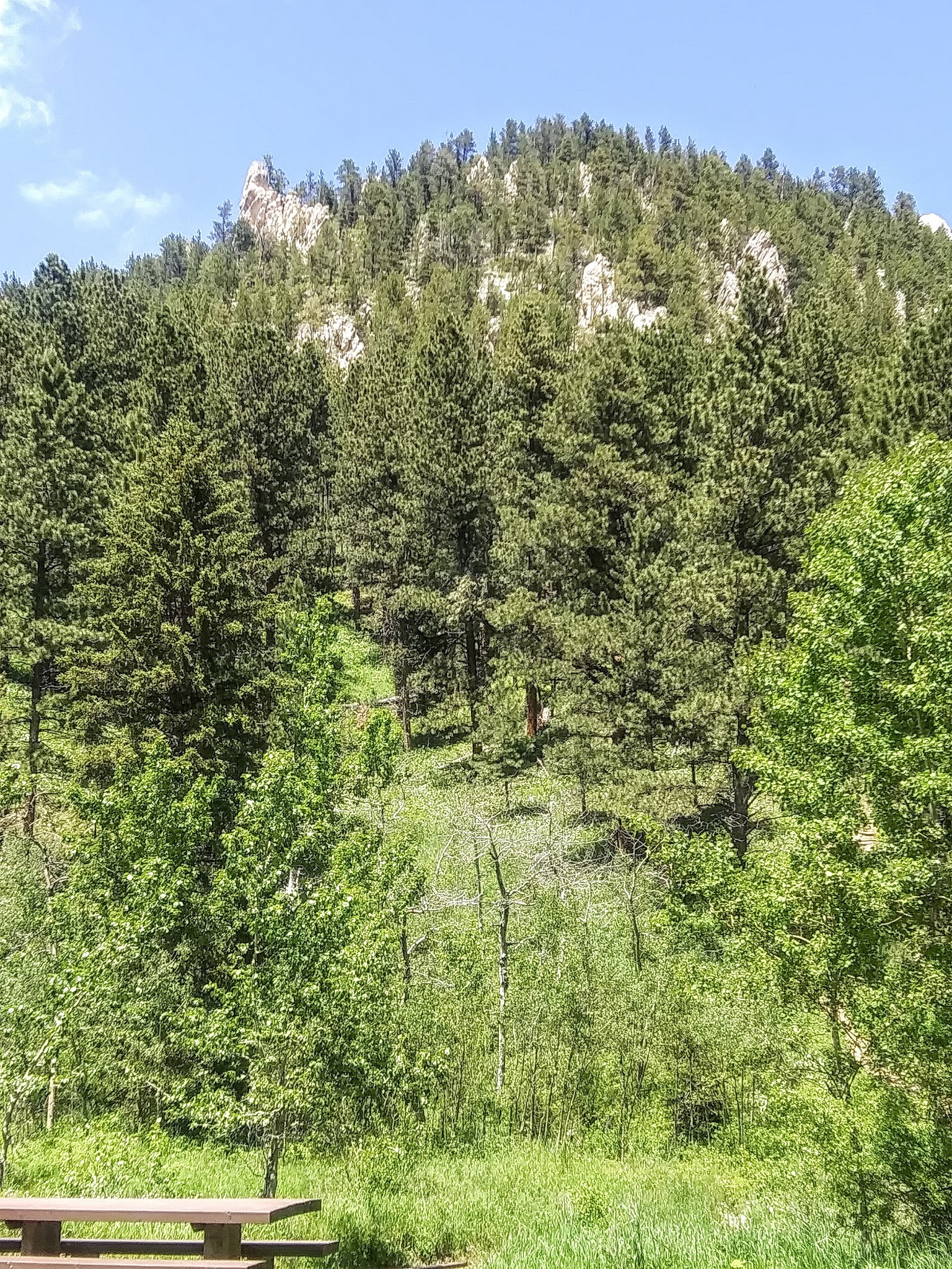 Palisades Campground