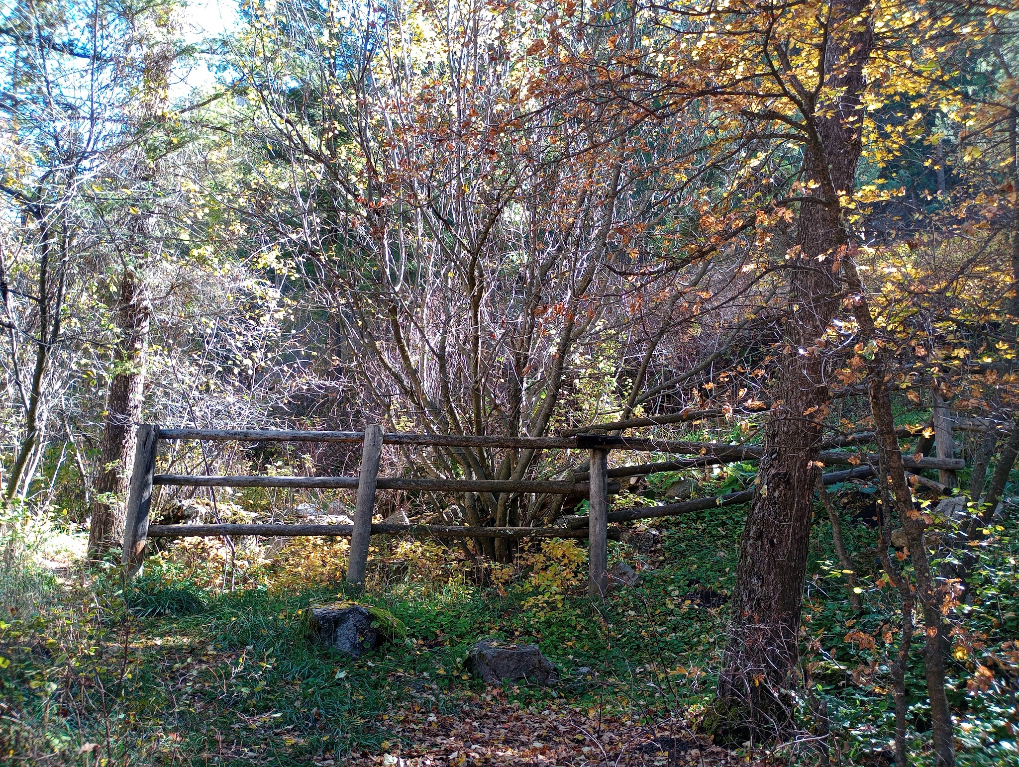 Palisades Creek Campground