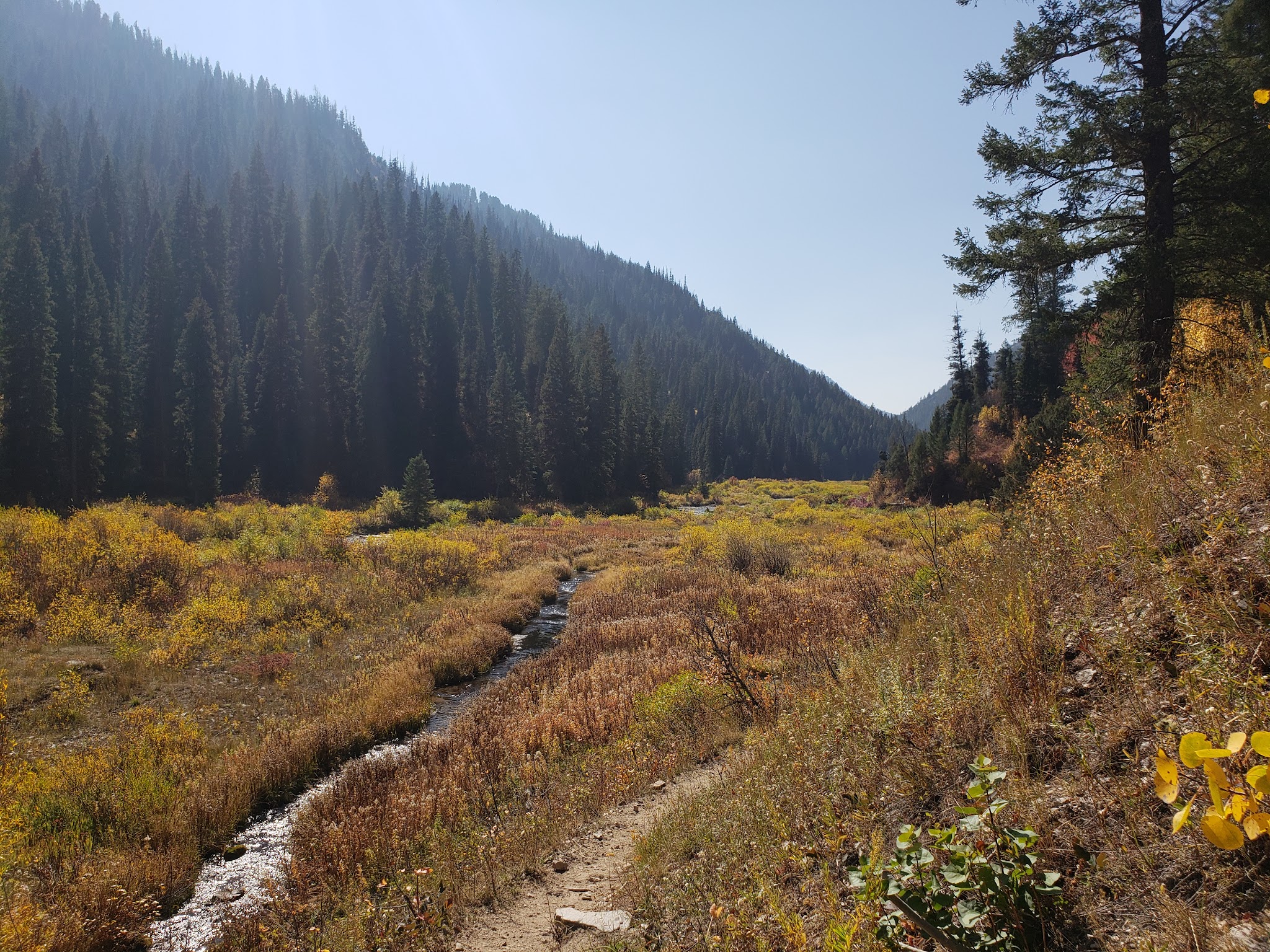 Palisades Creek Campground