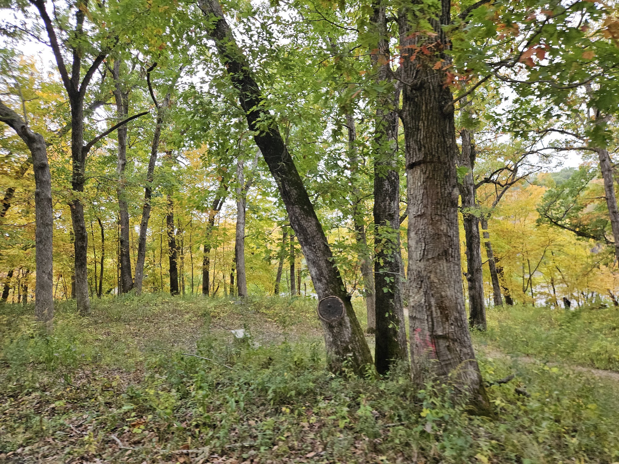 Palisades-Kepler State Park