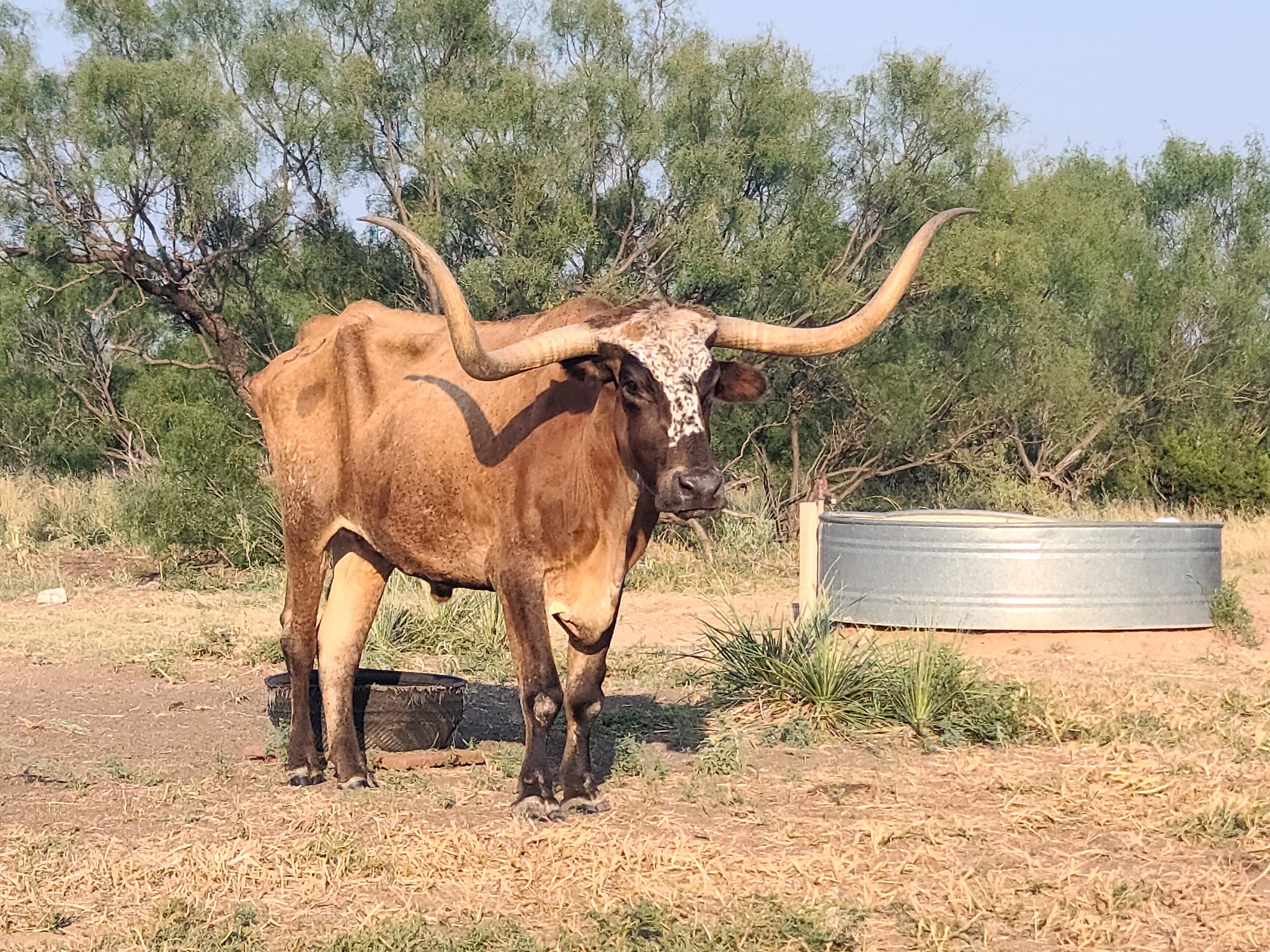 Palo Duro Canyon State Park
