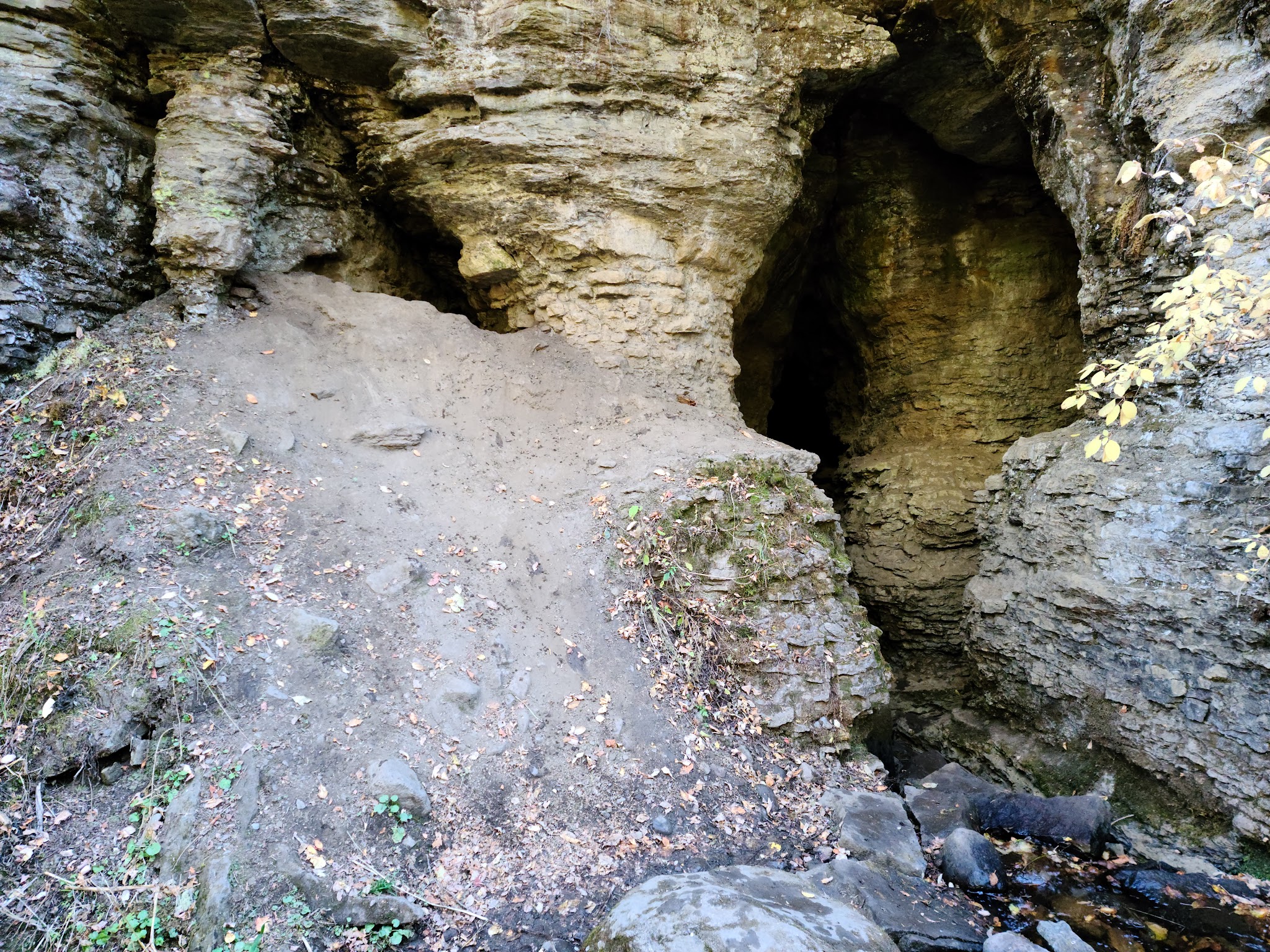 Panchuela Campground