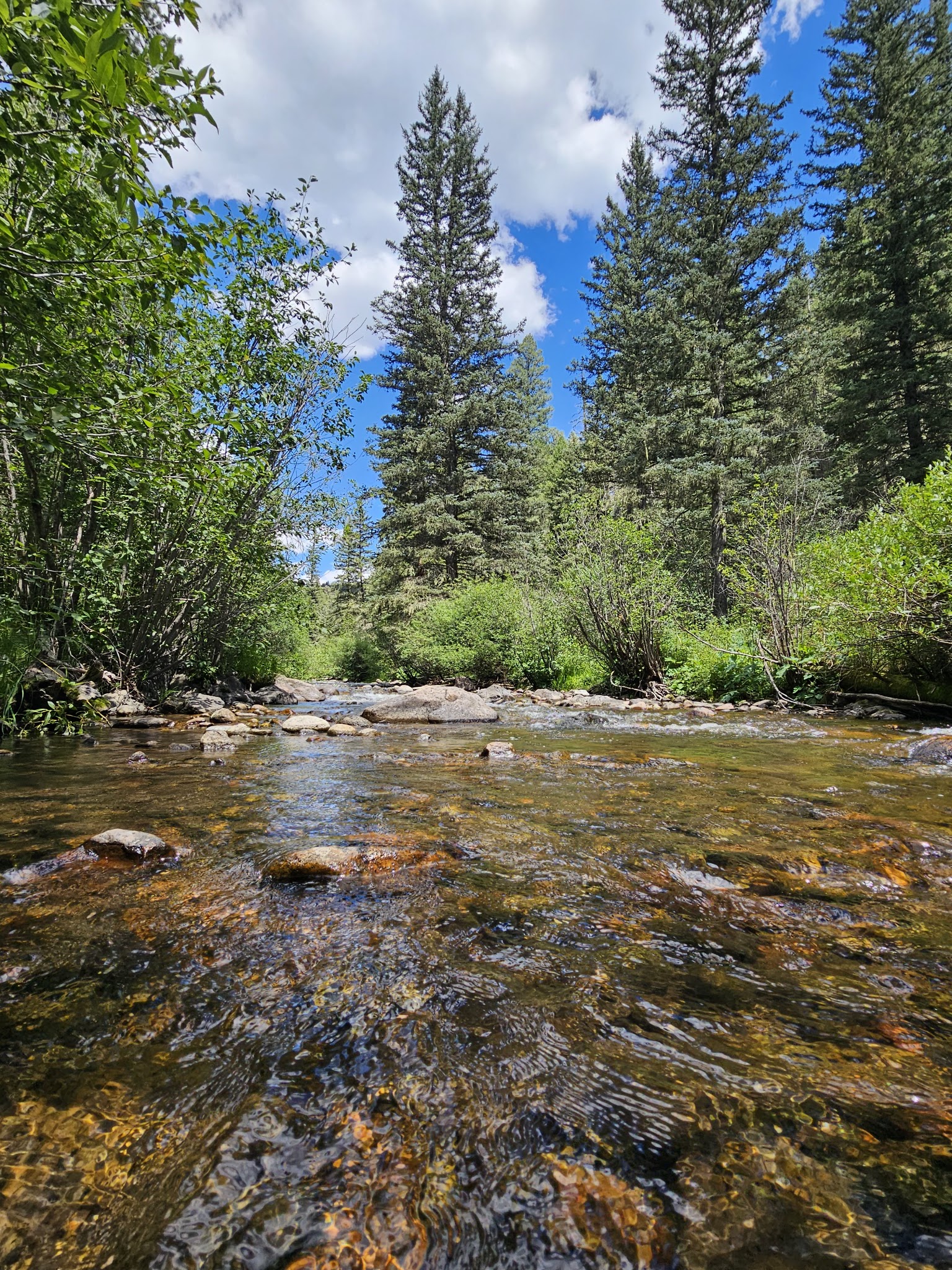 Panchuela Campground