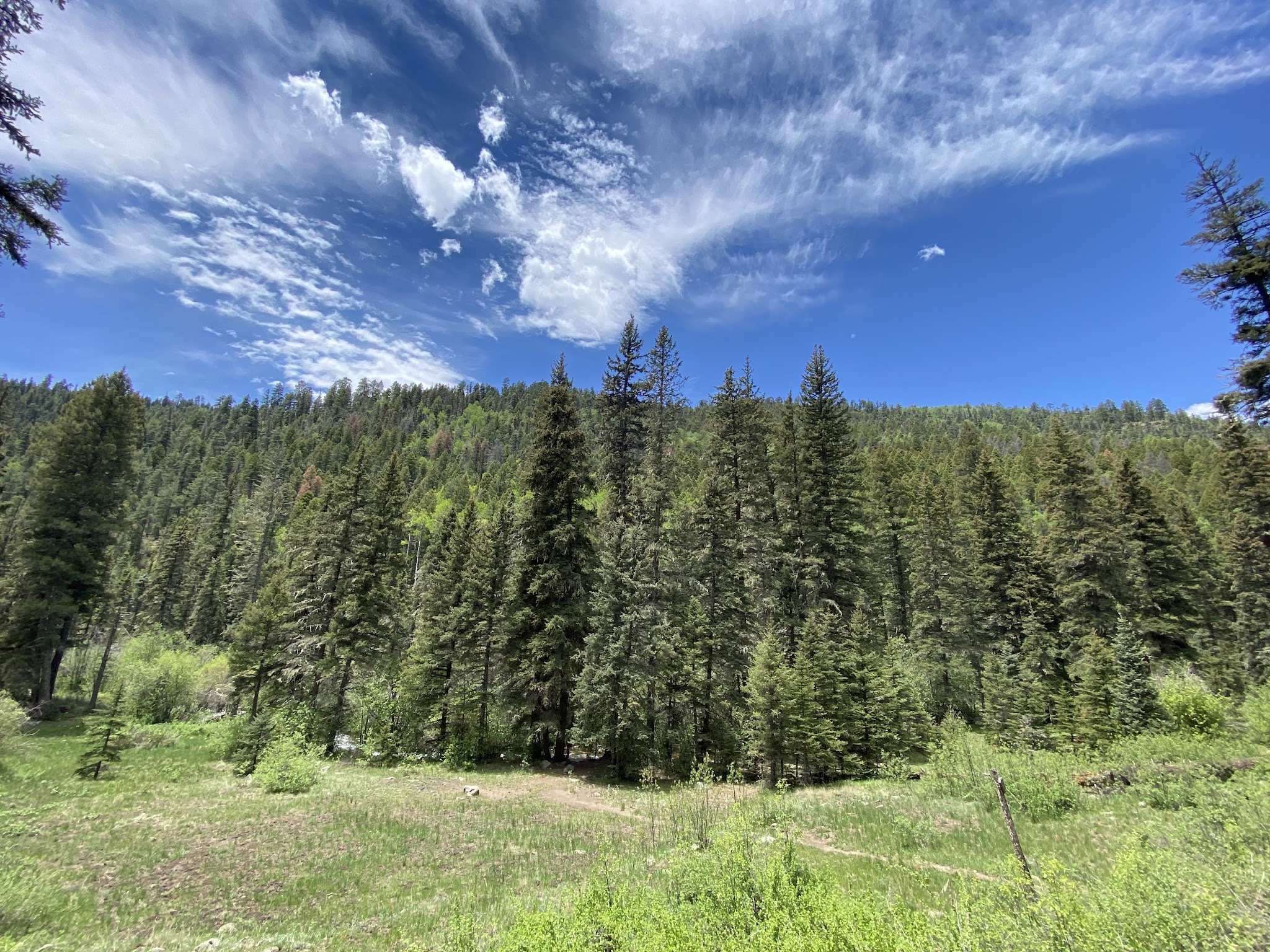 Panchuela Campground