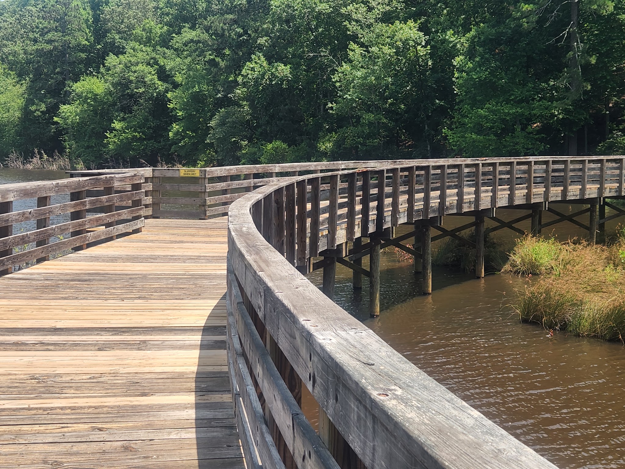 Panola Mountain State Park