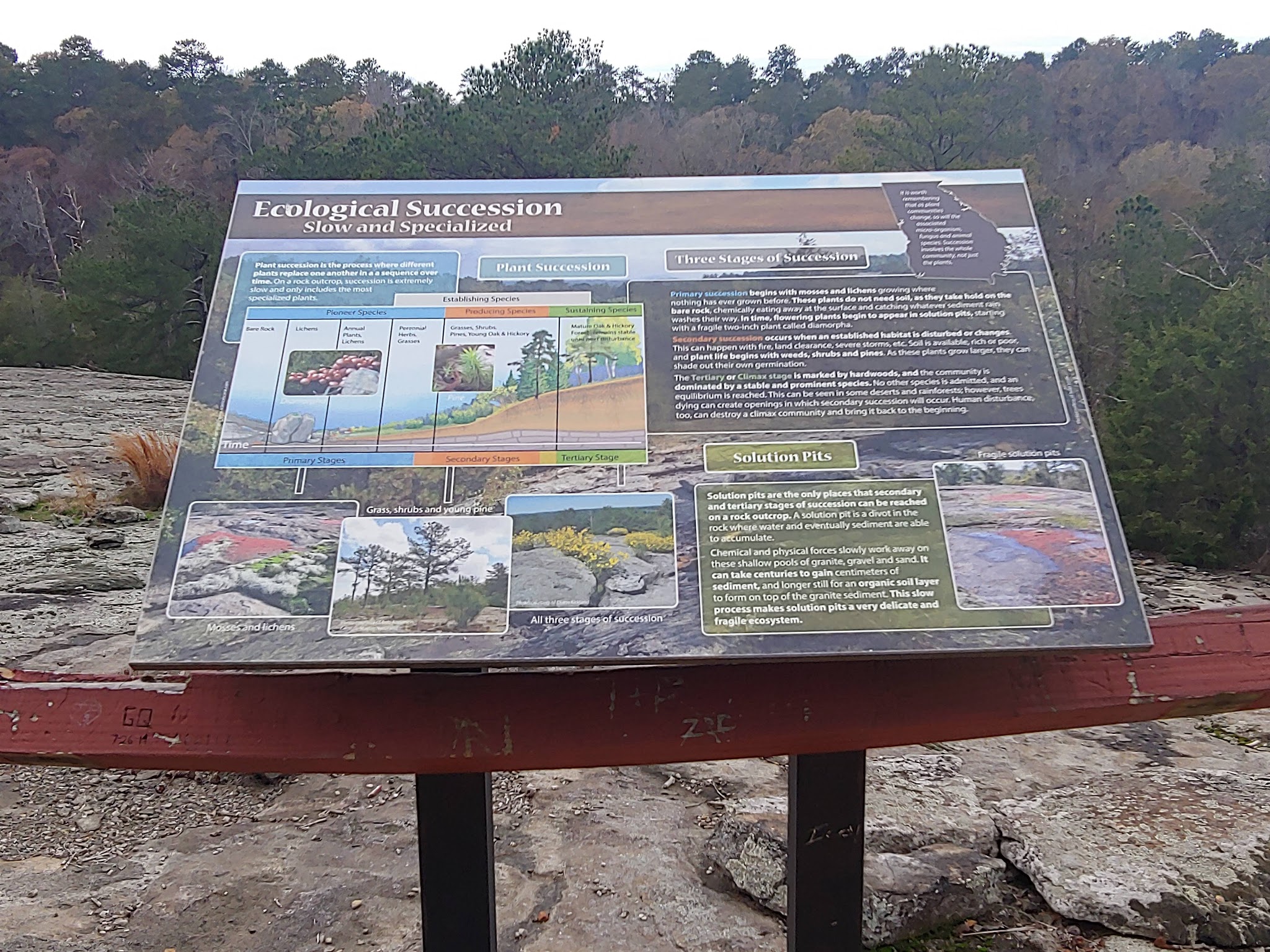 Panola Mountain State Park