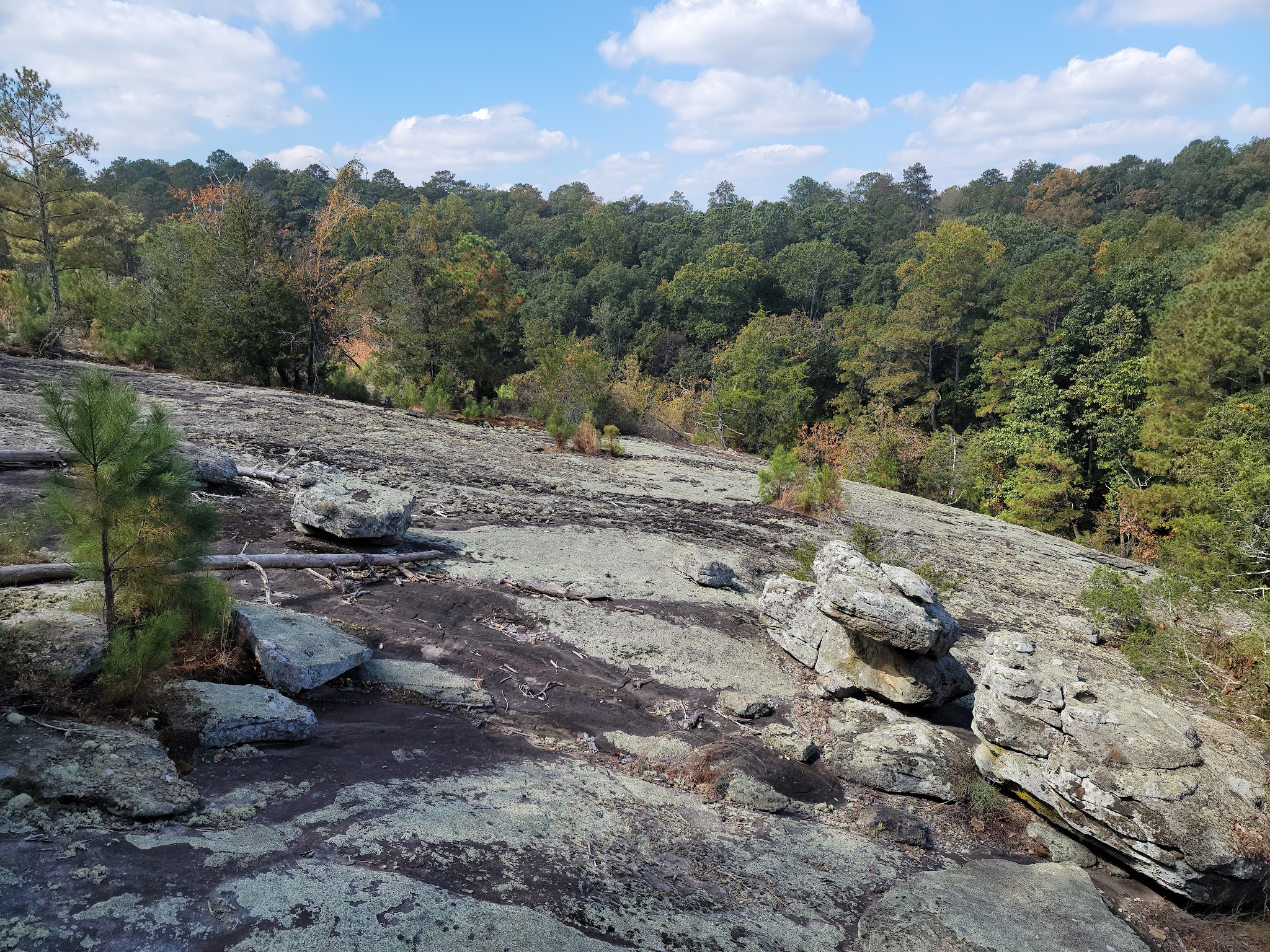 Panola Mountain State Park