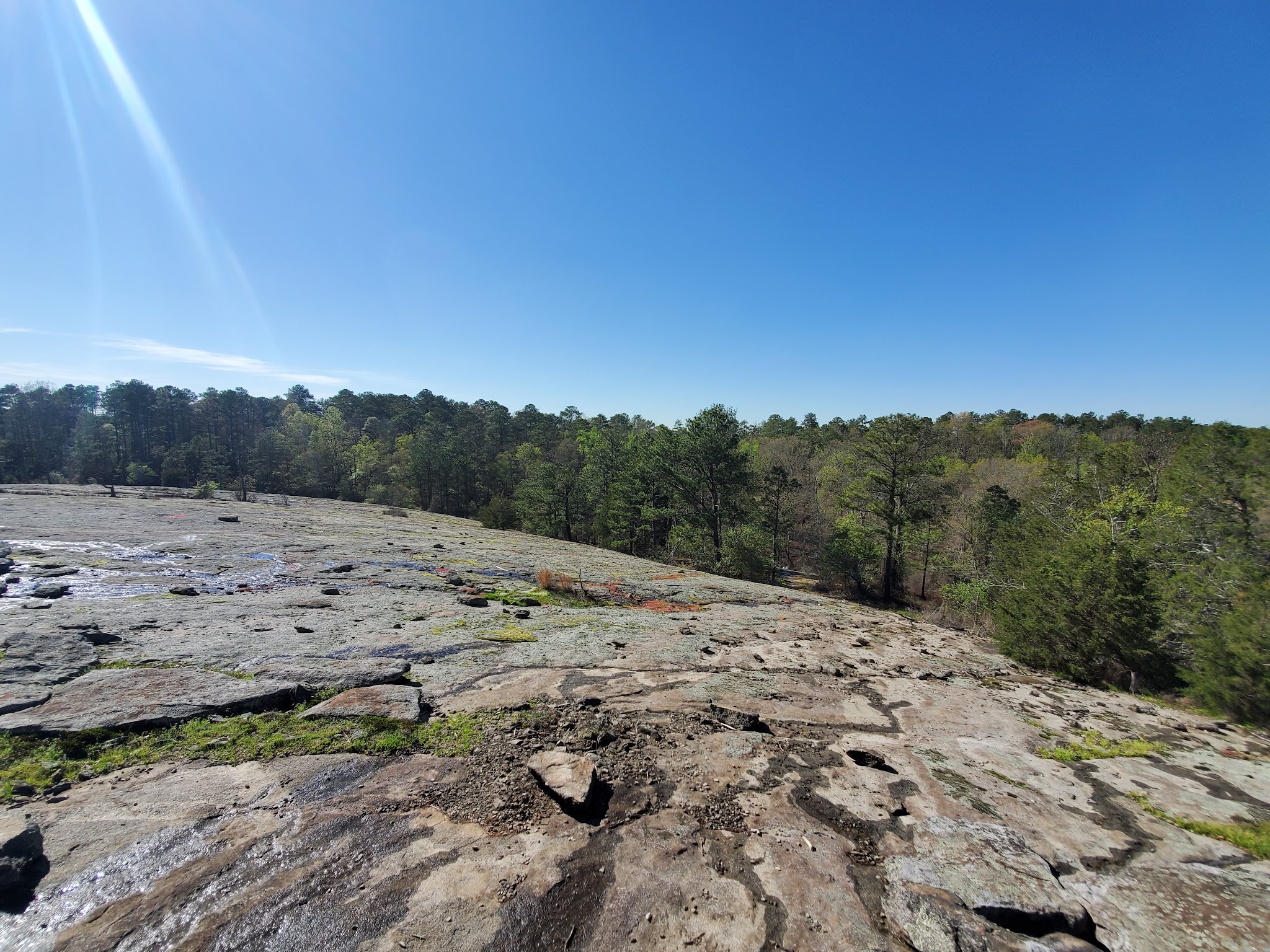 Panola Mountain State Park