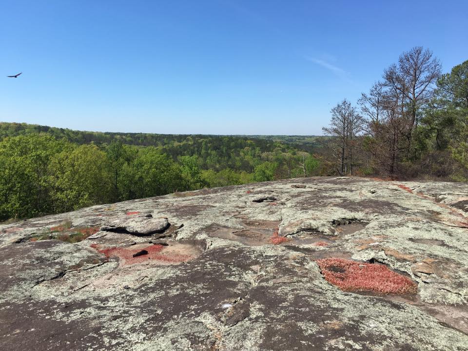 Panola Mountain State Park