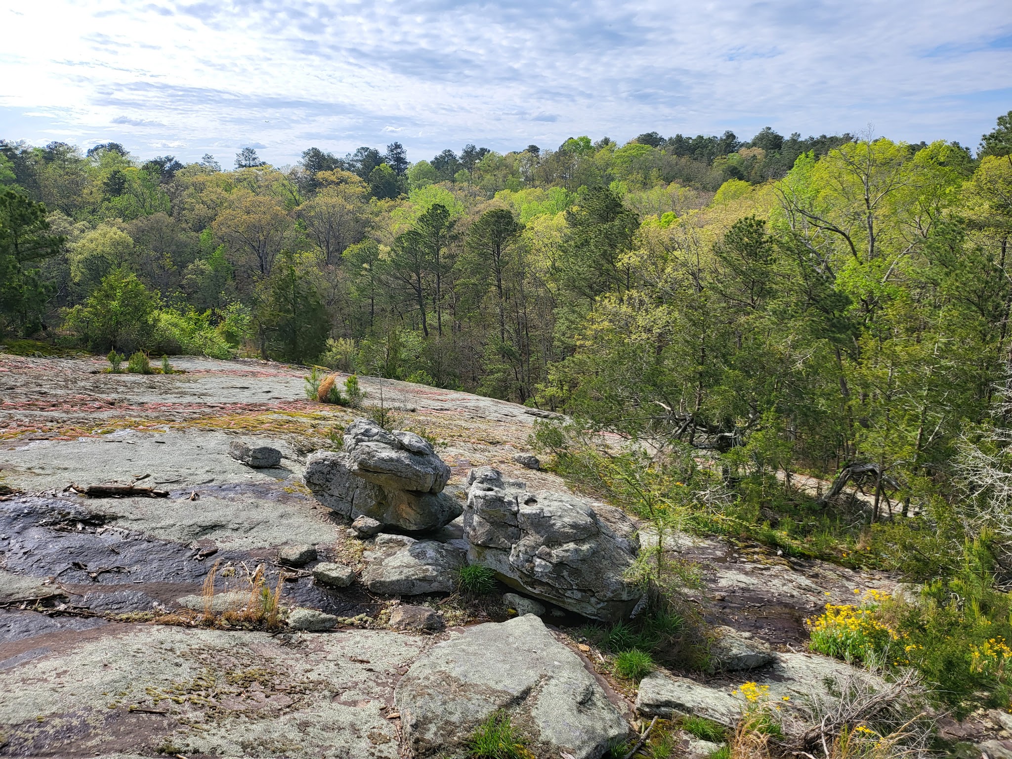 Panola Mountain State Park