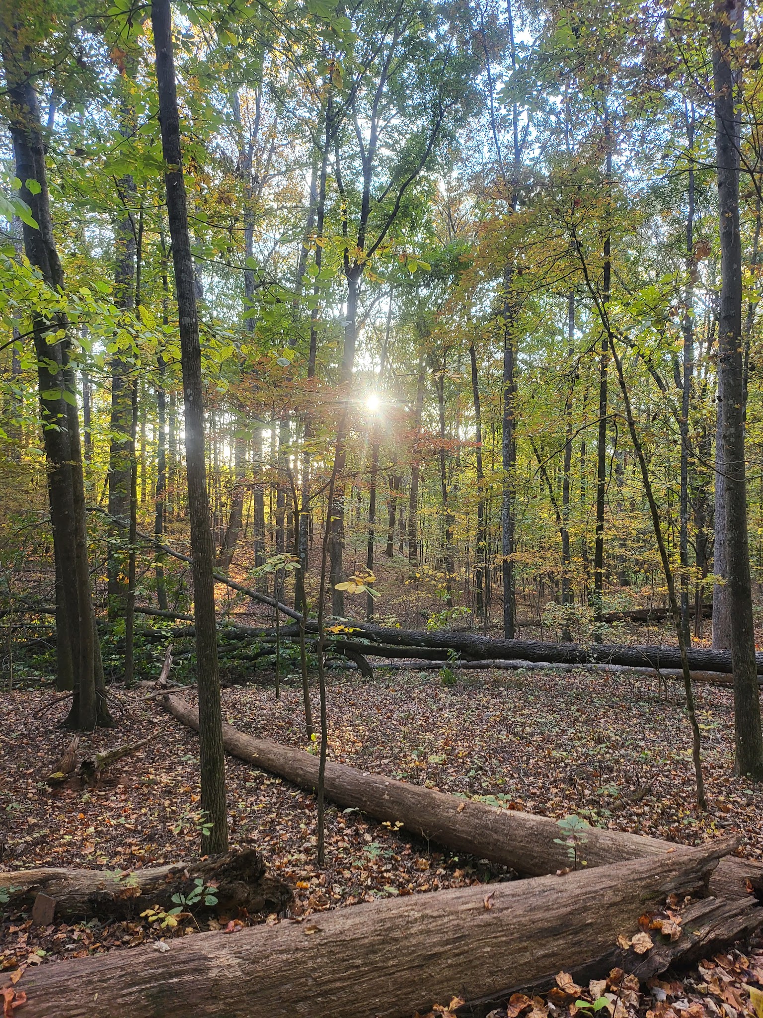 Panola Mountain State Park