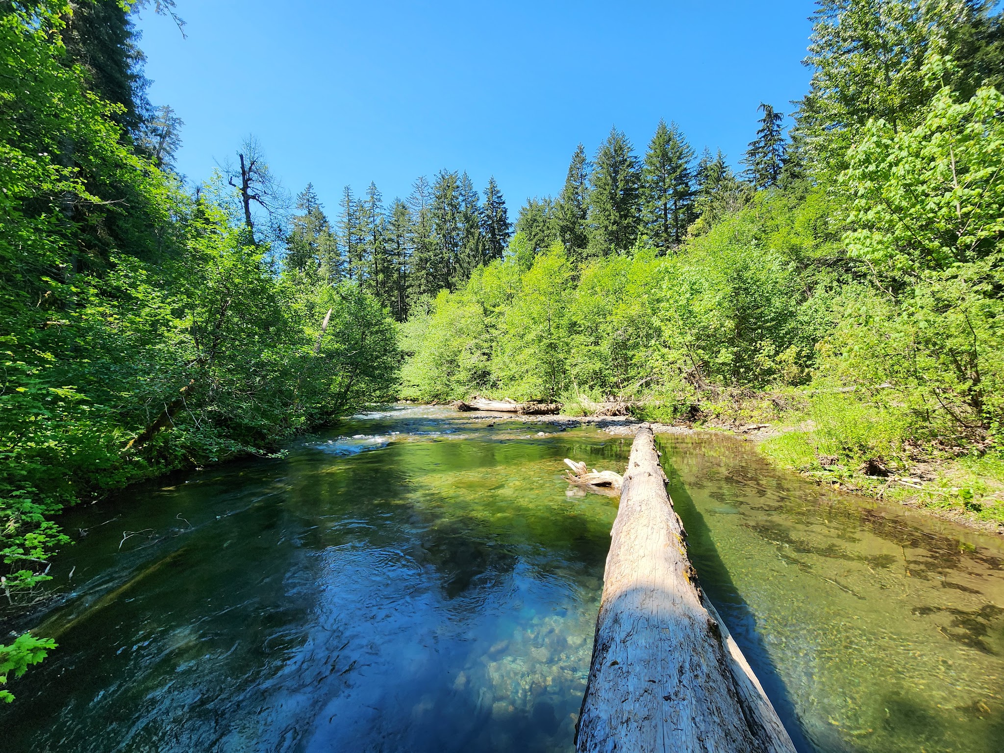 Panther Creek Campground