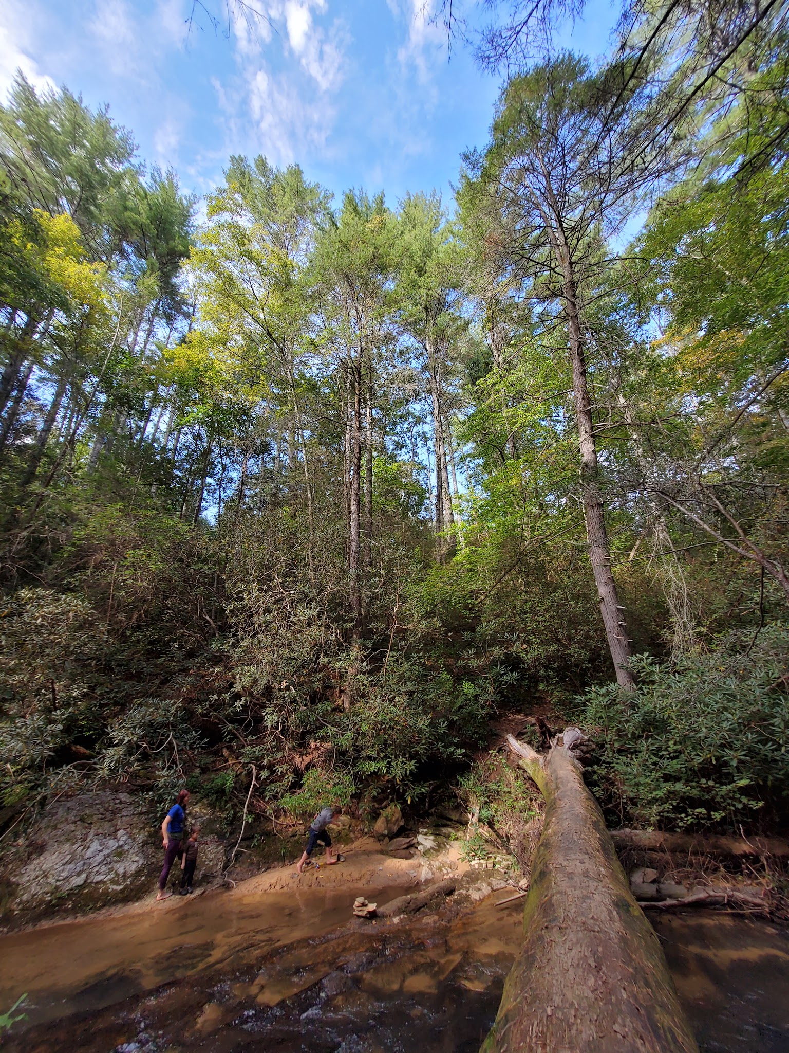 Panther Creek Recreation Area