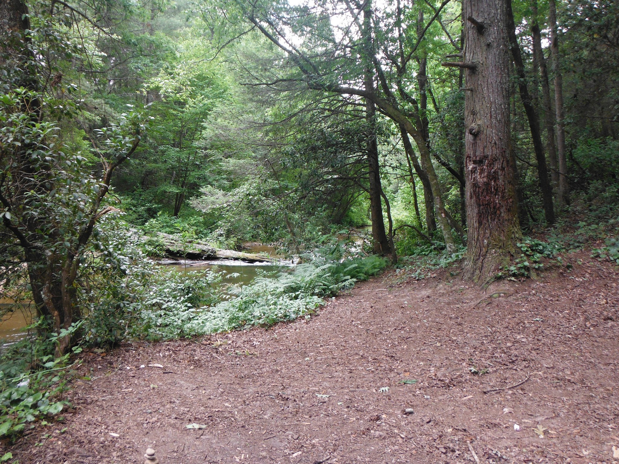 Panther Creek Recreation Area