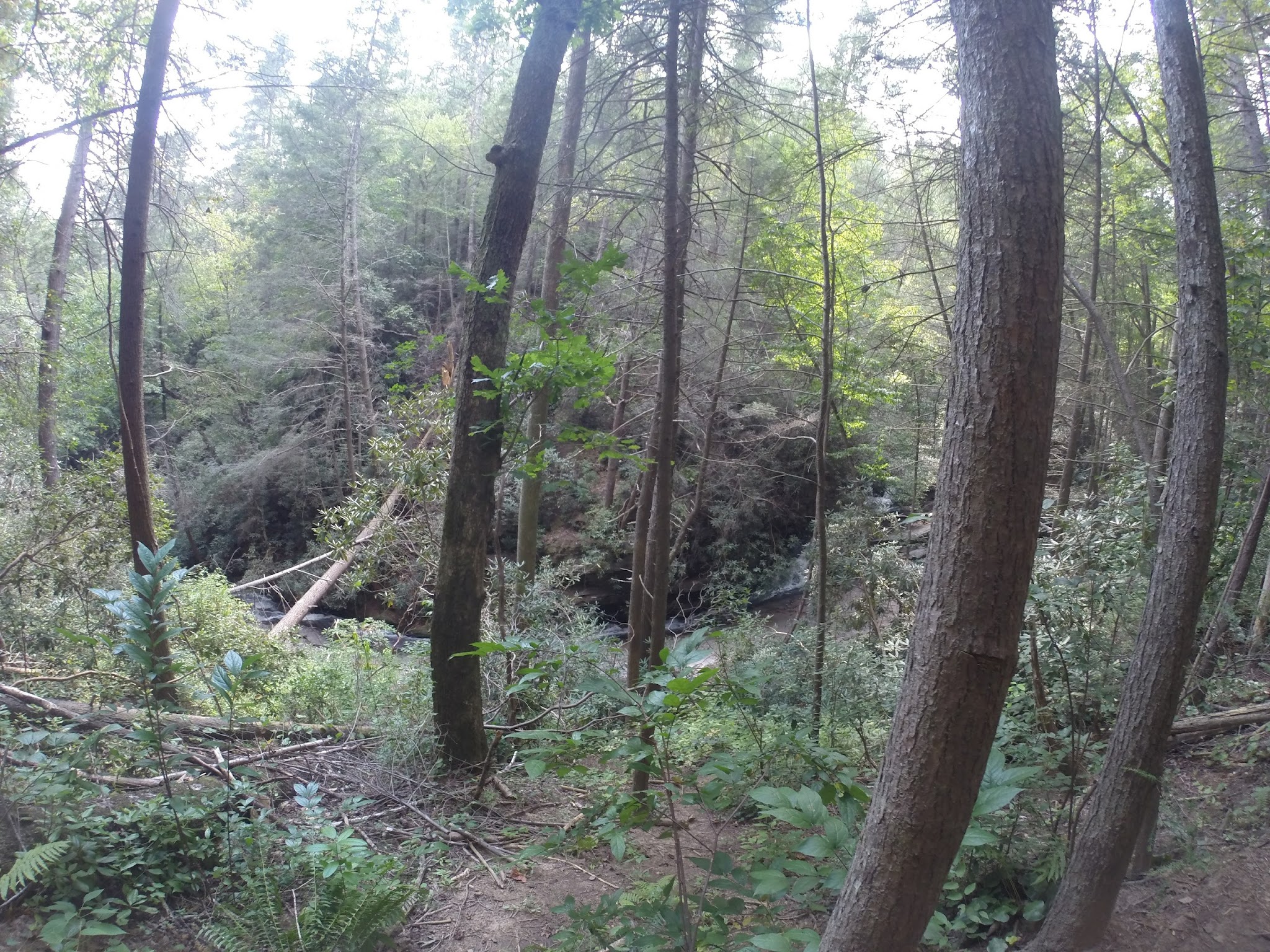 Panther Creek Recreation Area