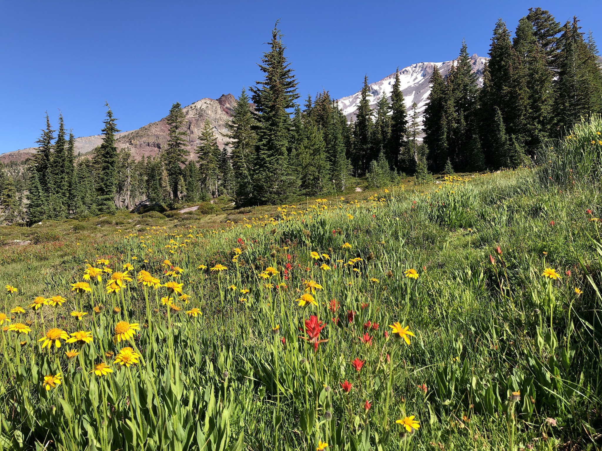 Panther Meadows Campground