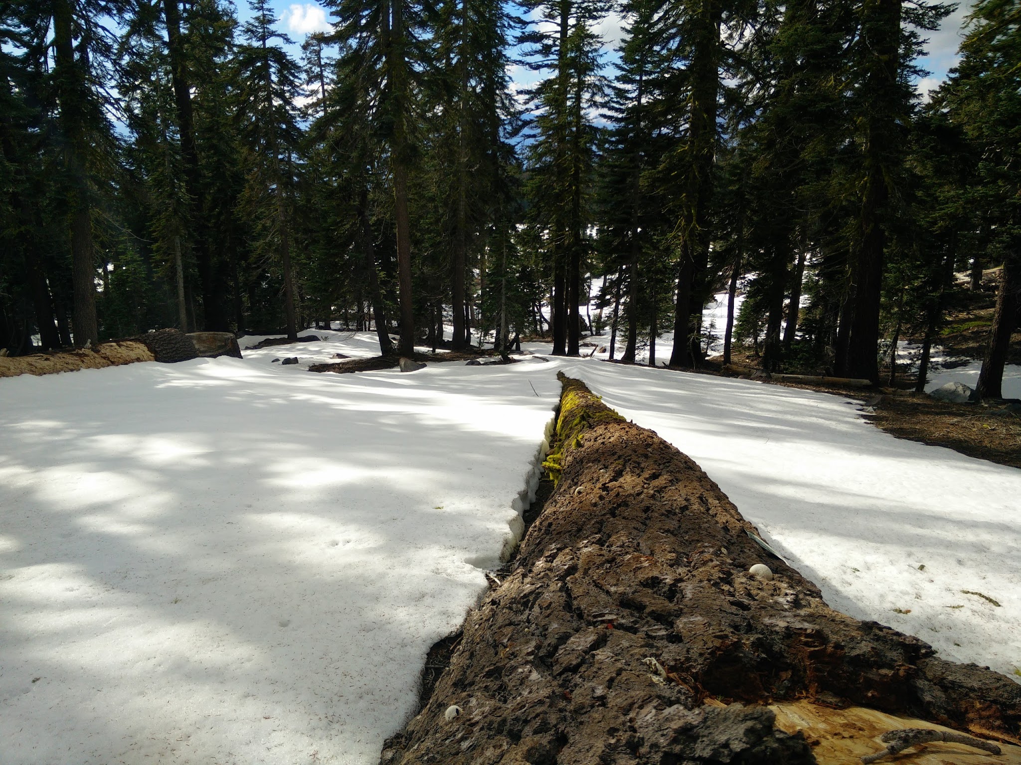 Panther Meadows Campground