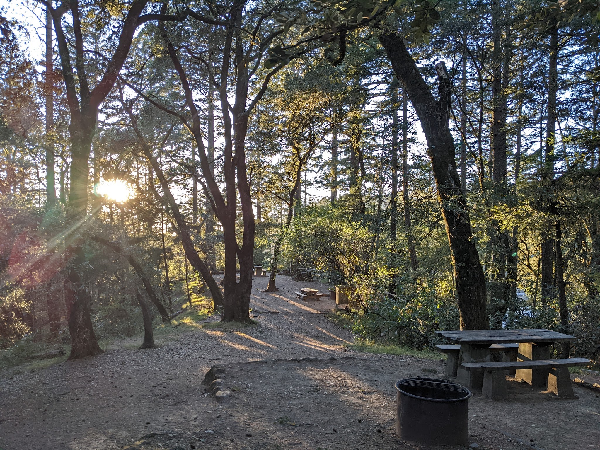 Pantoll Campground - Mount Tamalpais SP