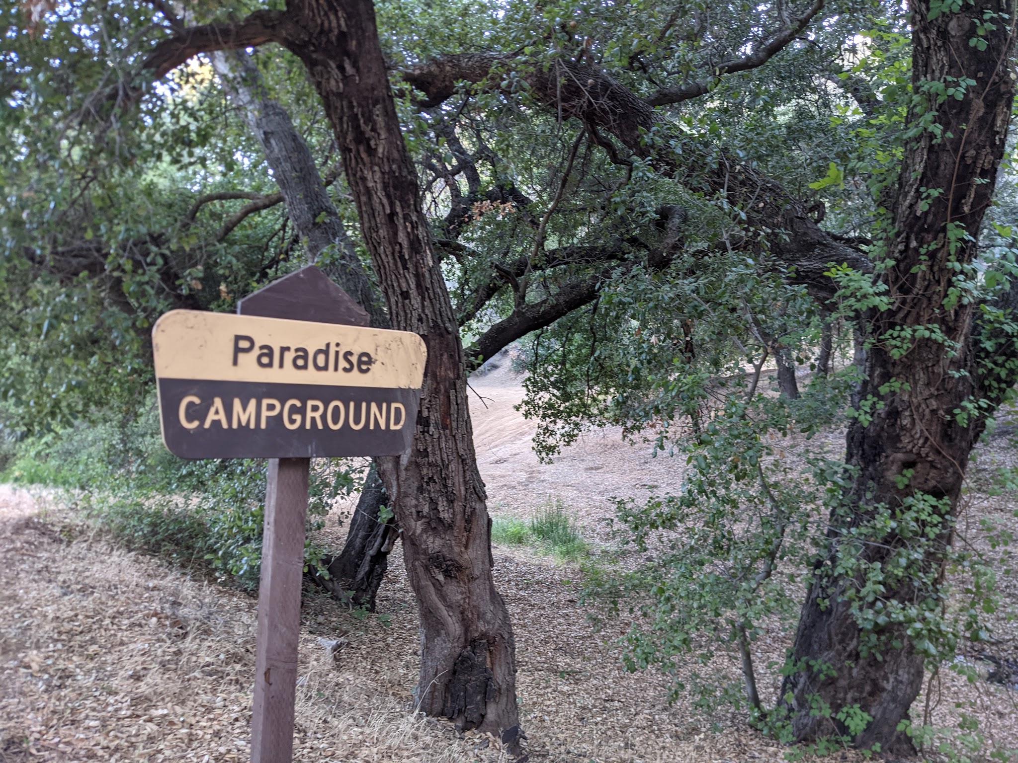 Paradise Campground