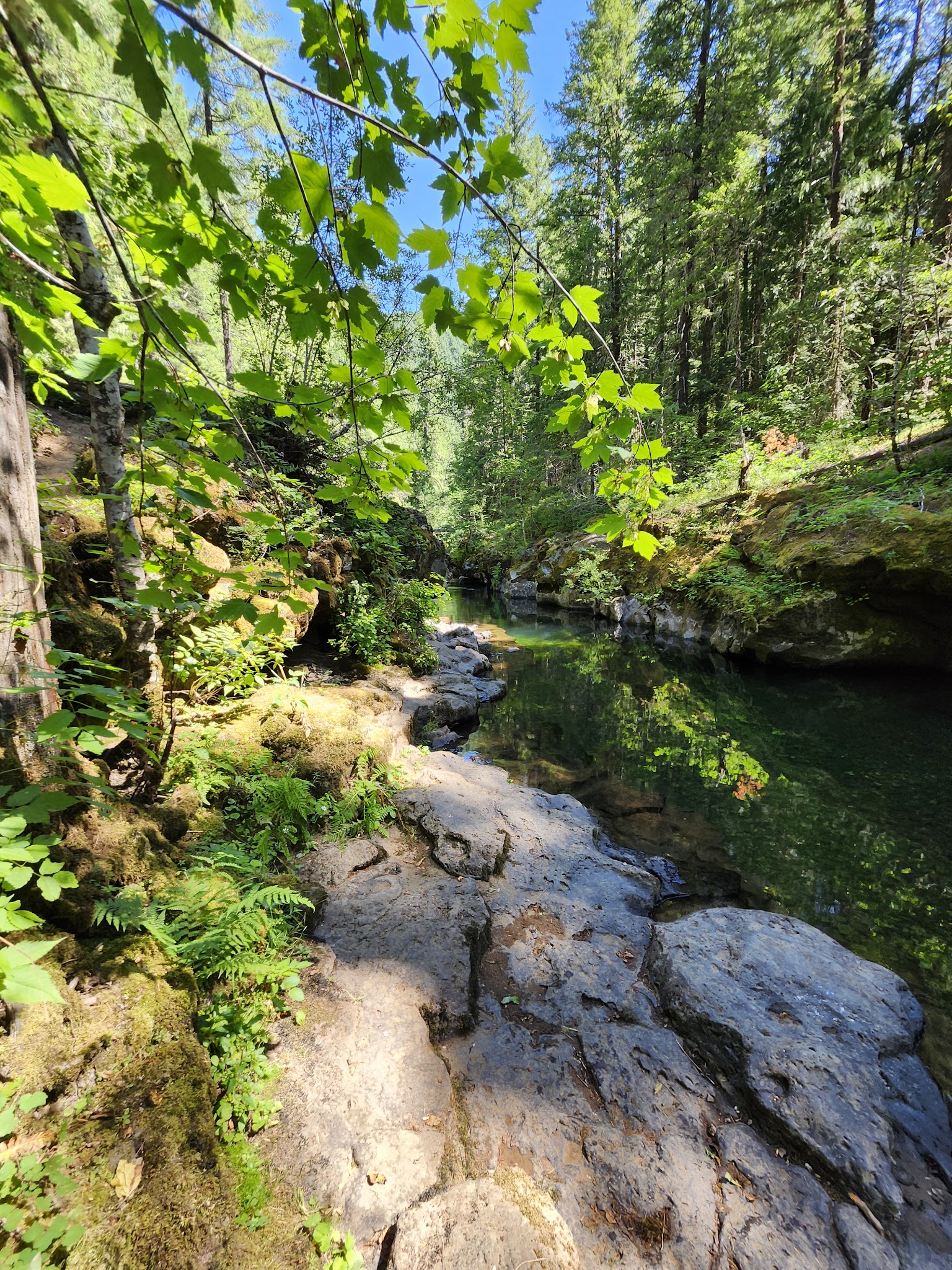 Paradise Creek Campground