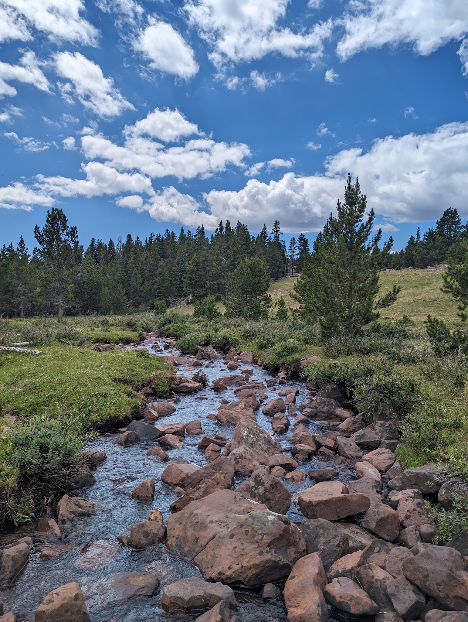 Paradise Guard Station