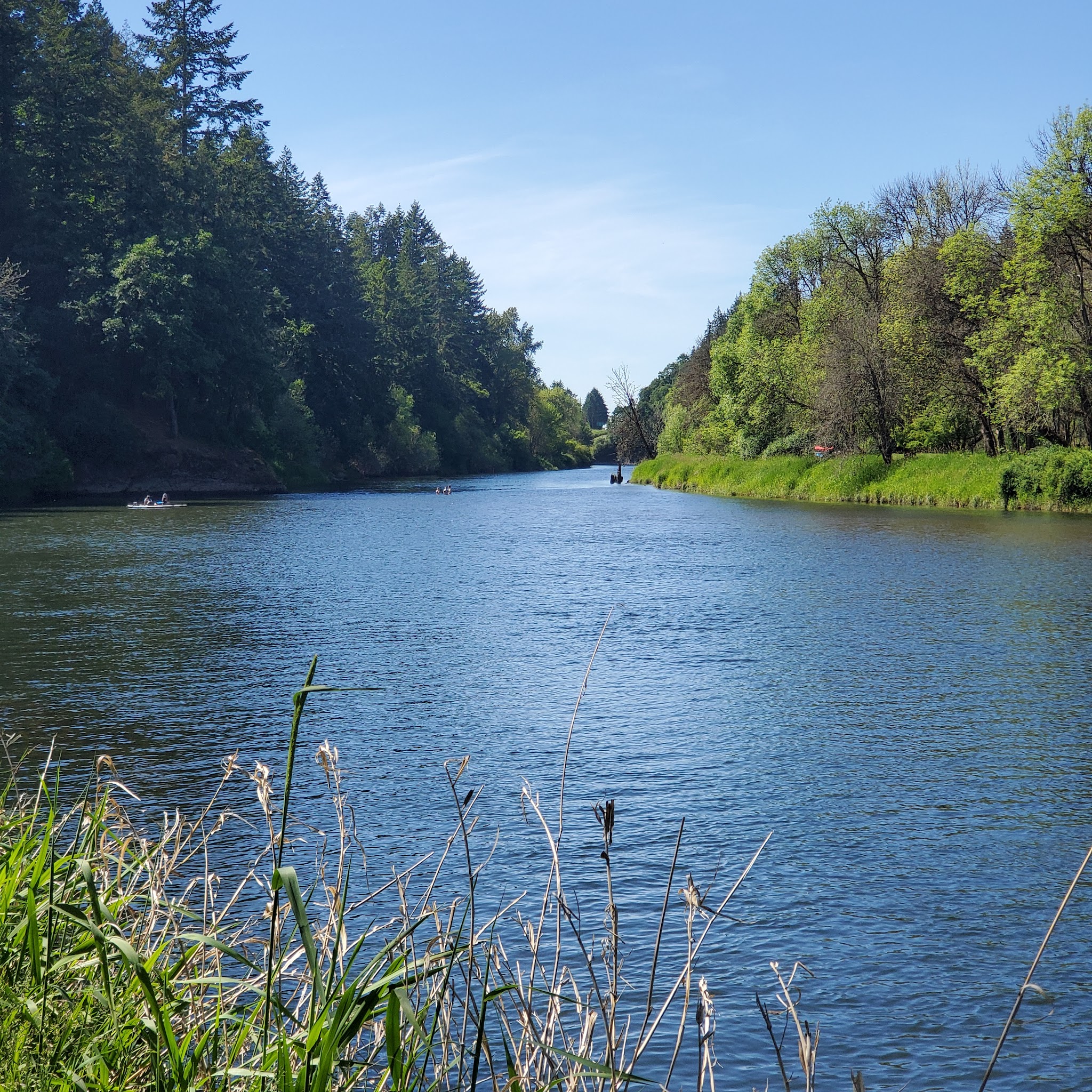 Paradise Point State Park