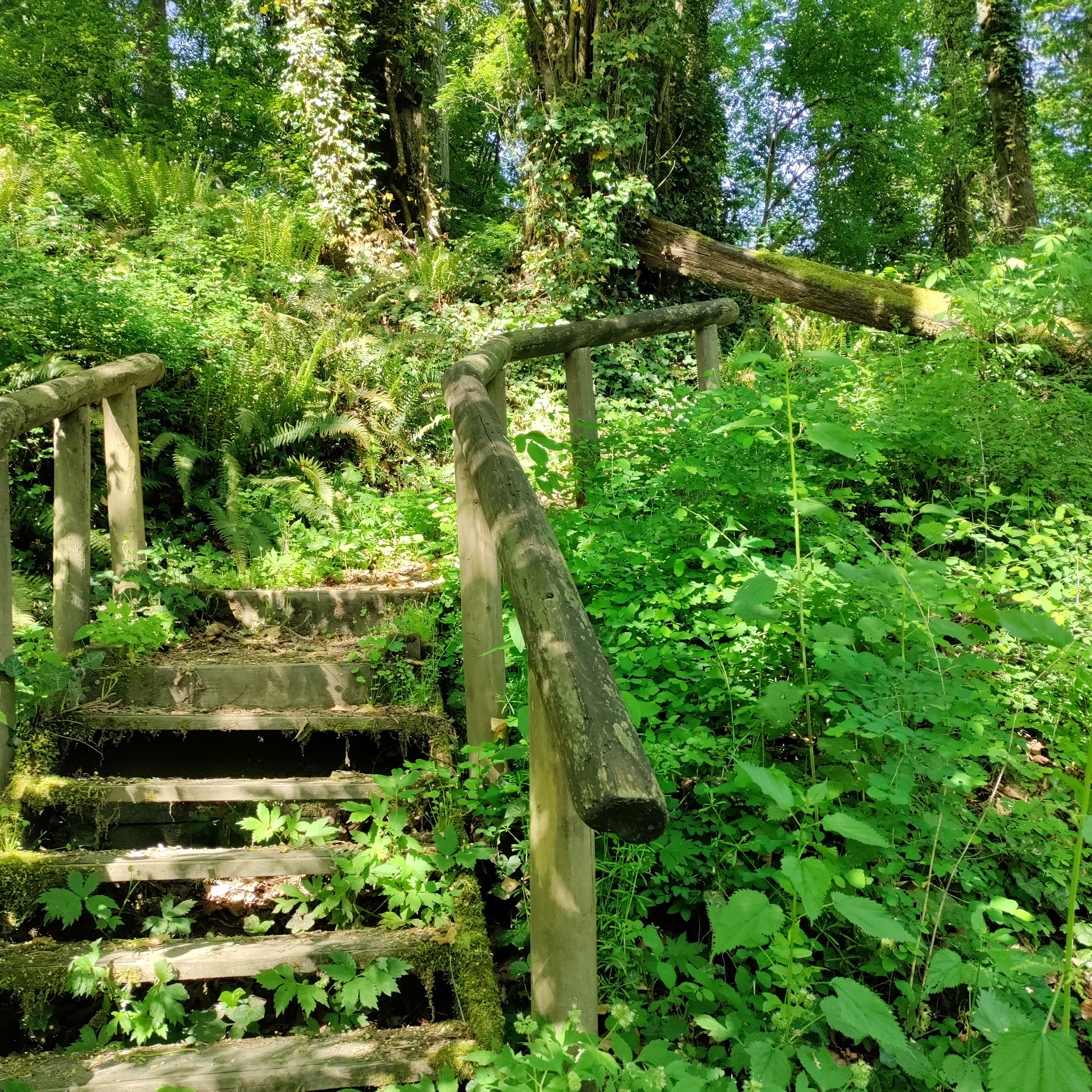 Paradise Point State Park