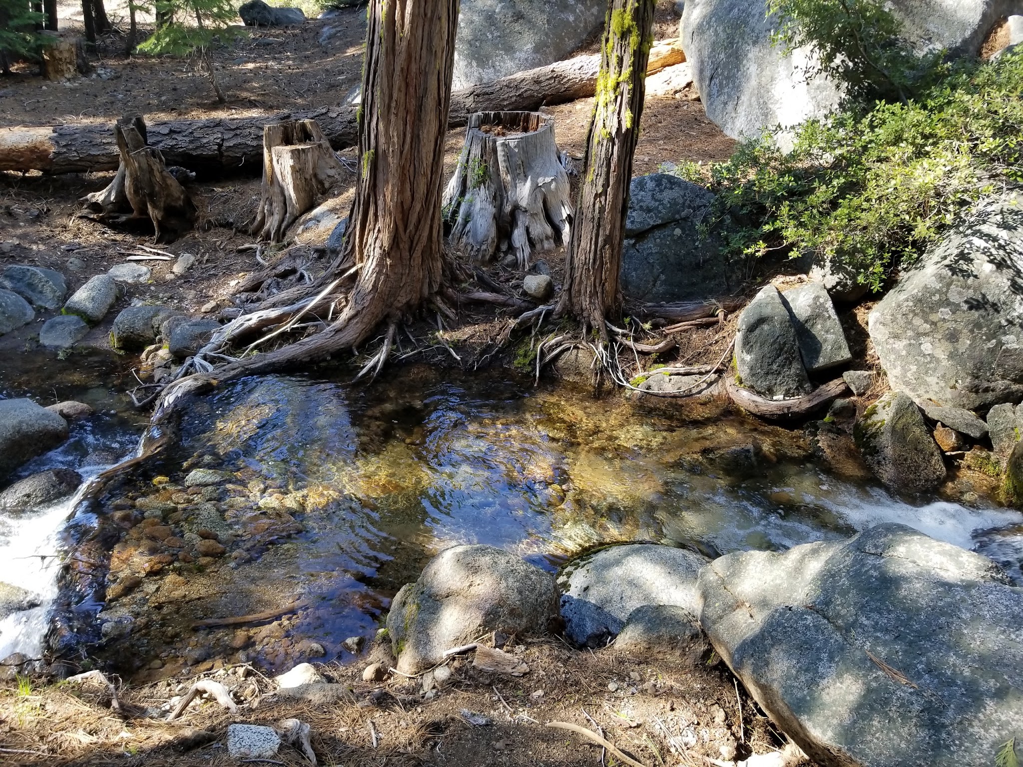 Pardoes Point Campground