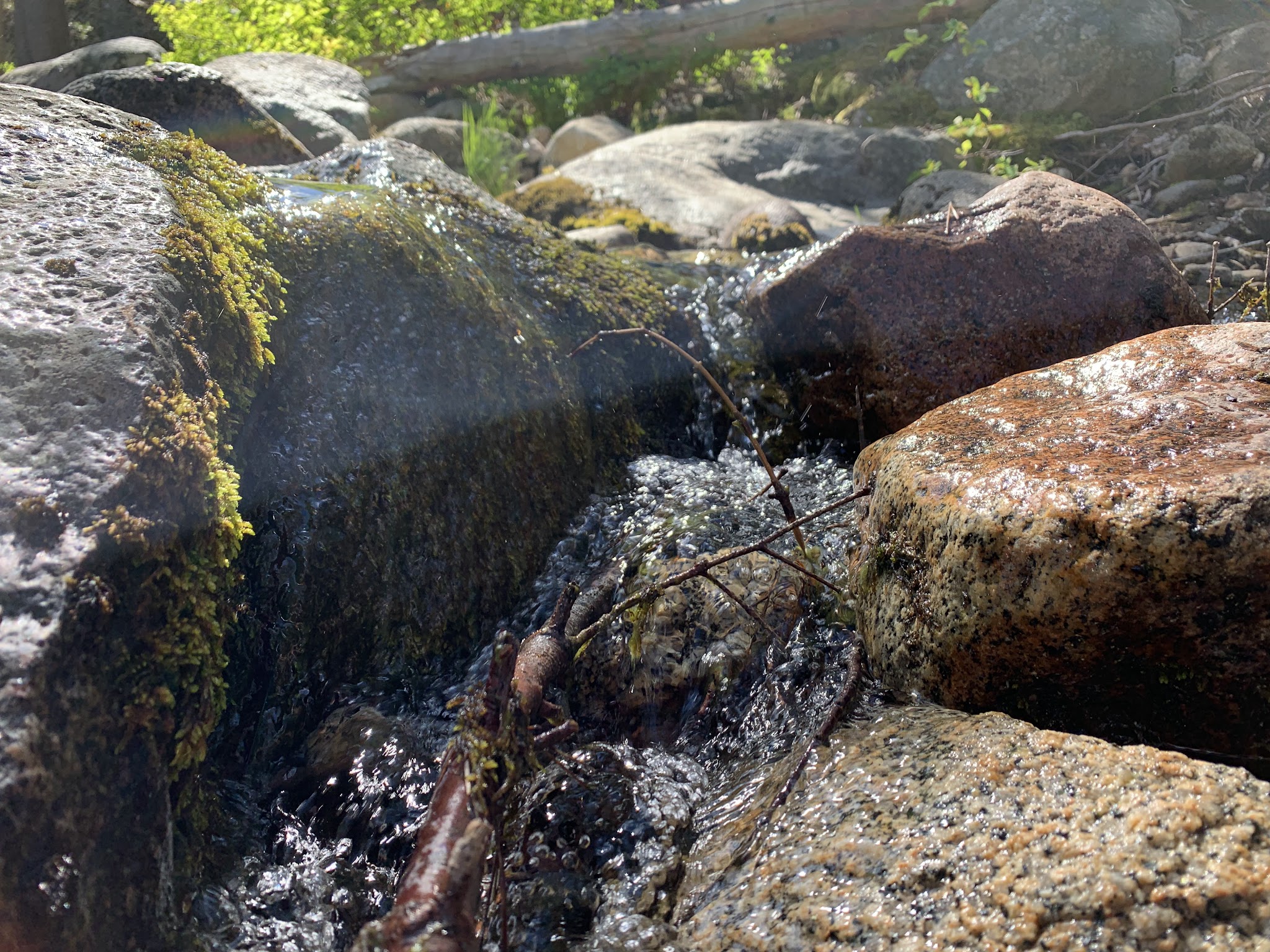 Pardoes Point Campground