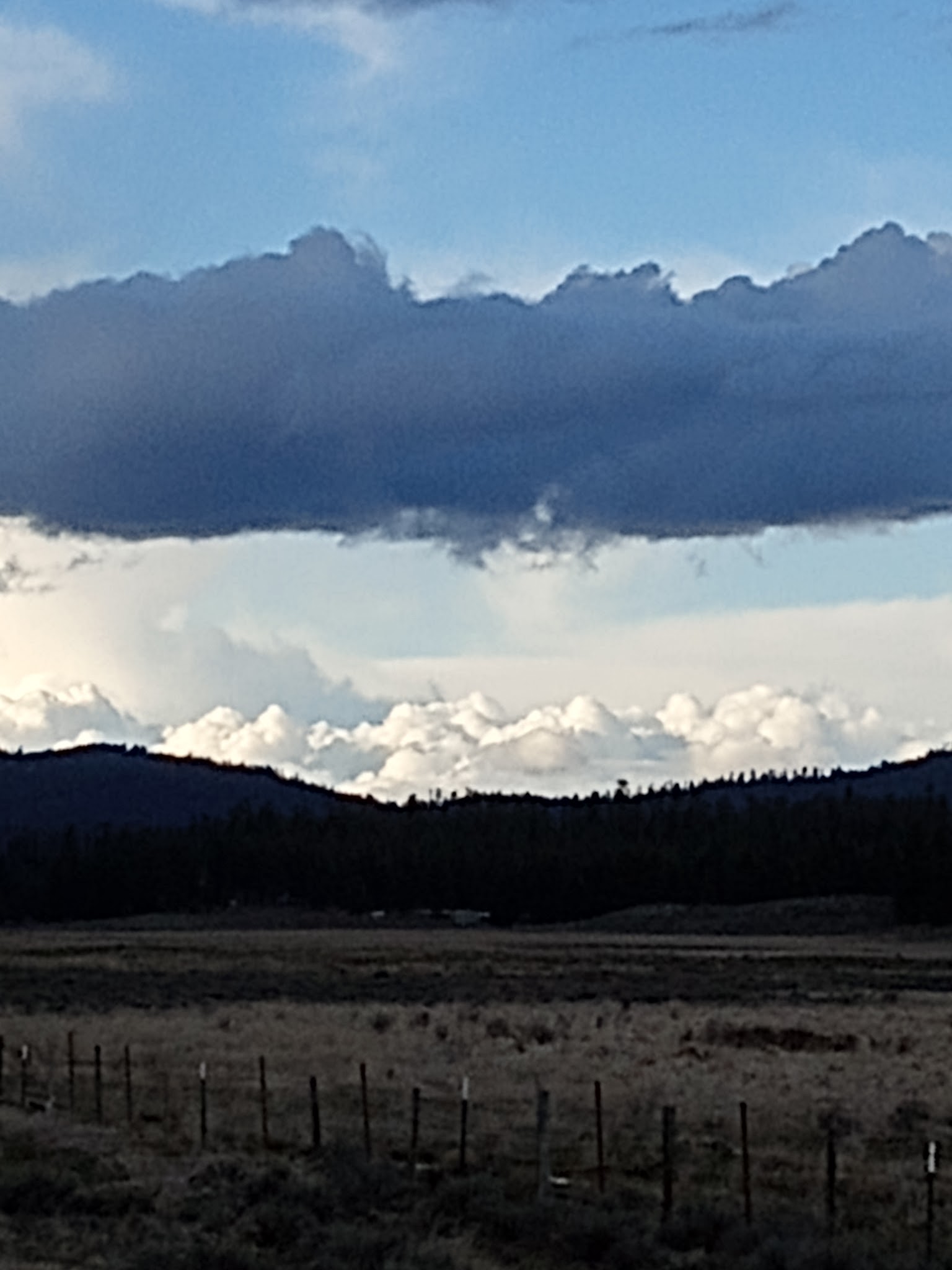 Parish Cabin Campground