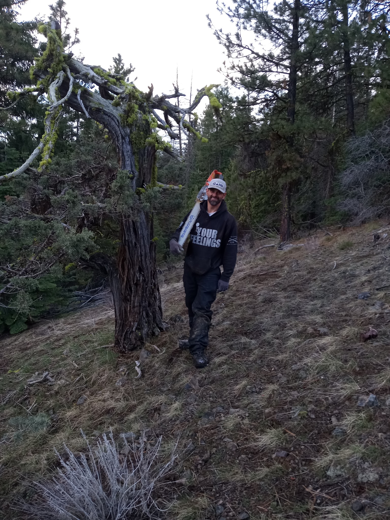 Parish Cabin Campground