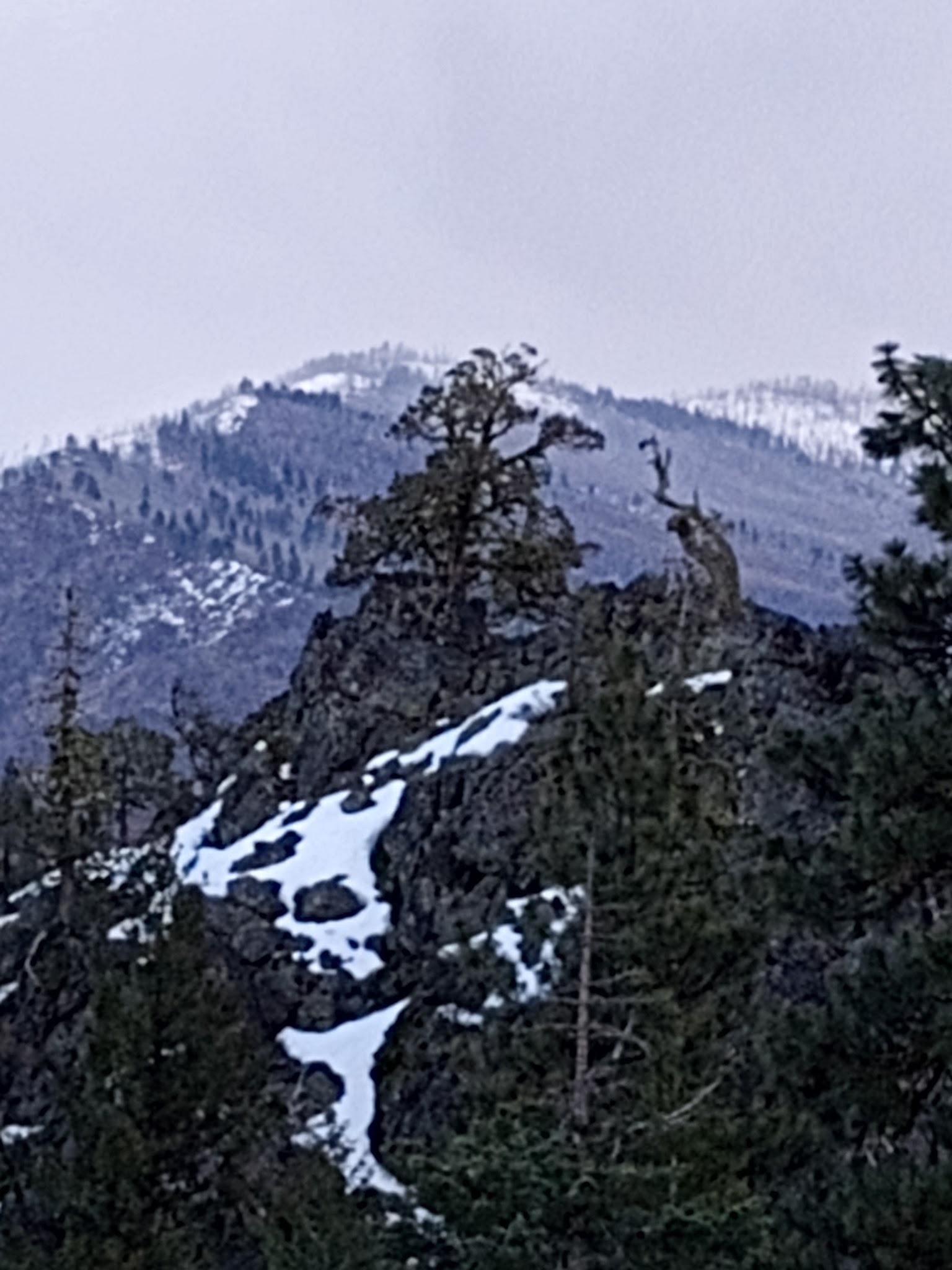 Parish Cabin Campground