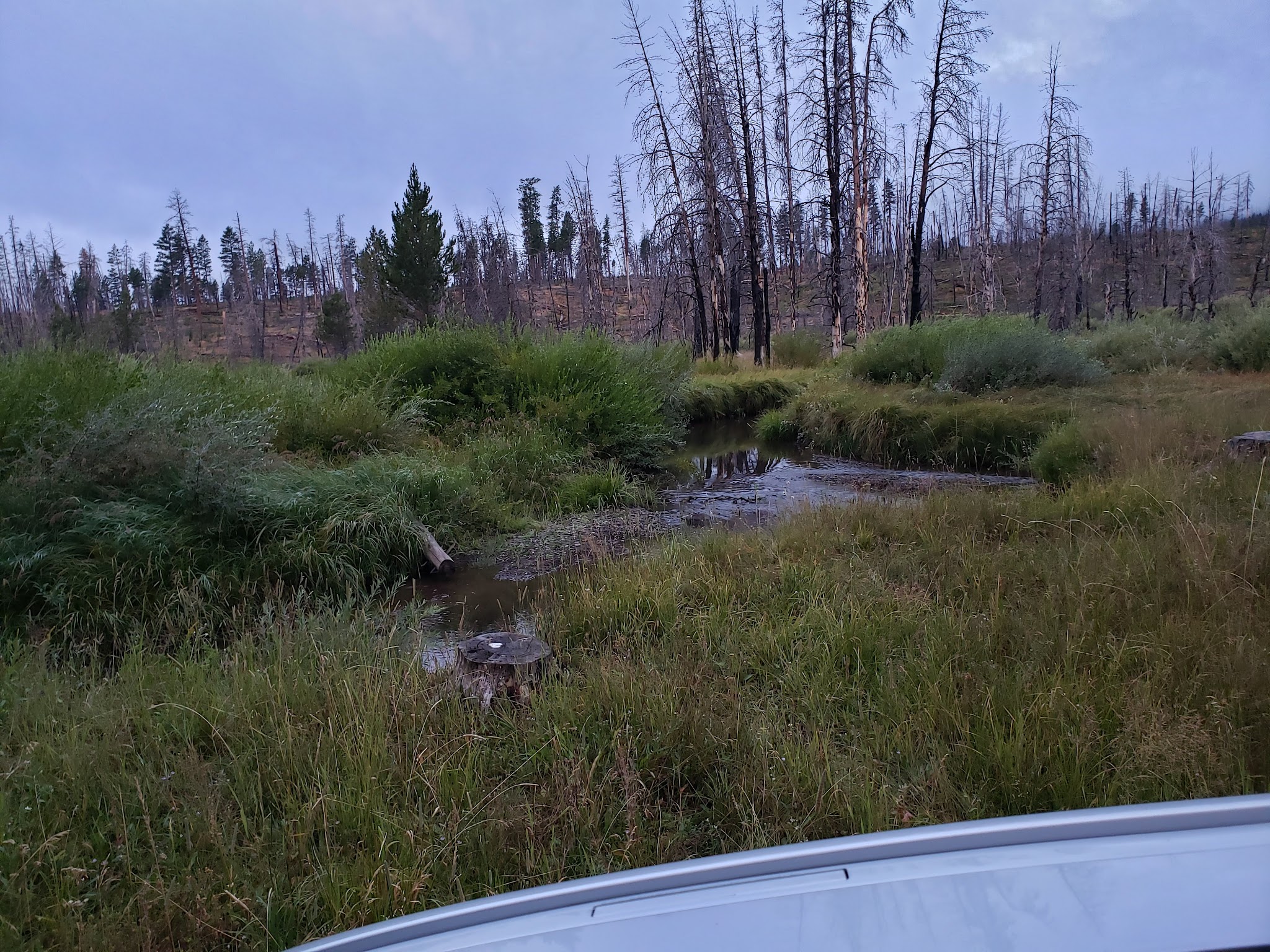 Parish Cabin Campground