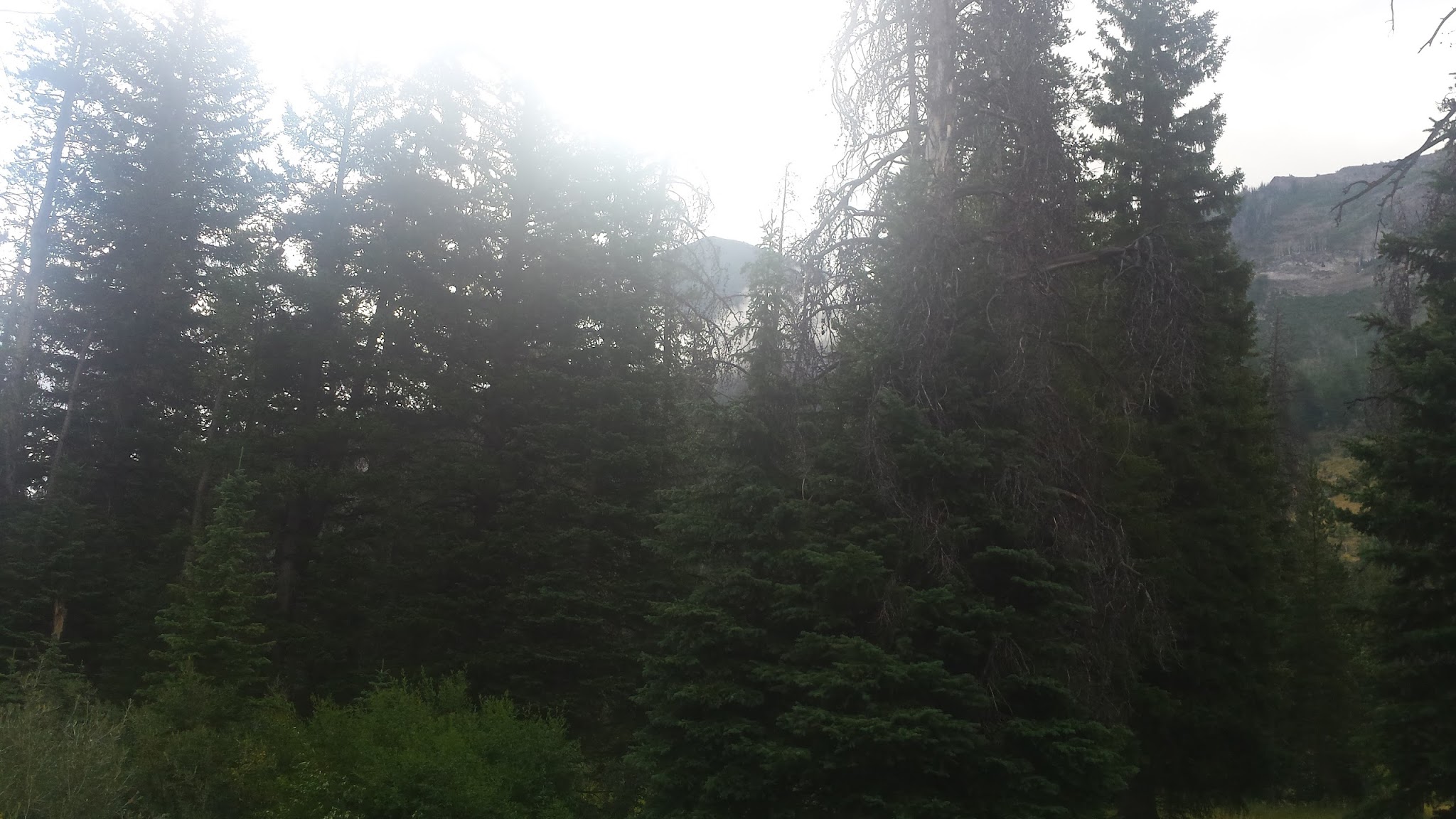 Park Creek Campground