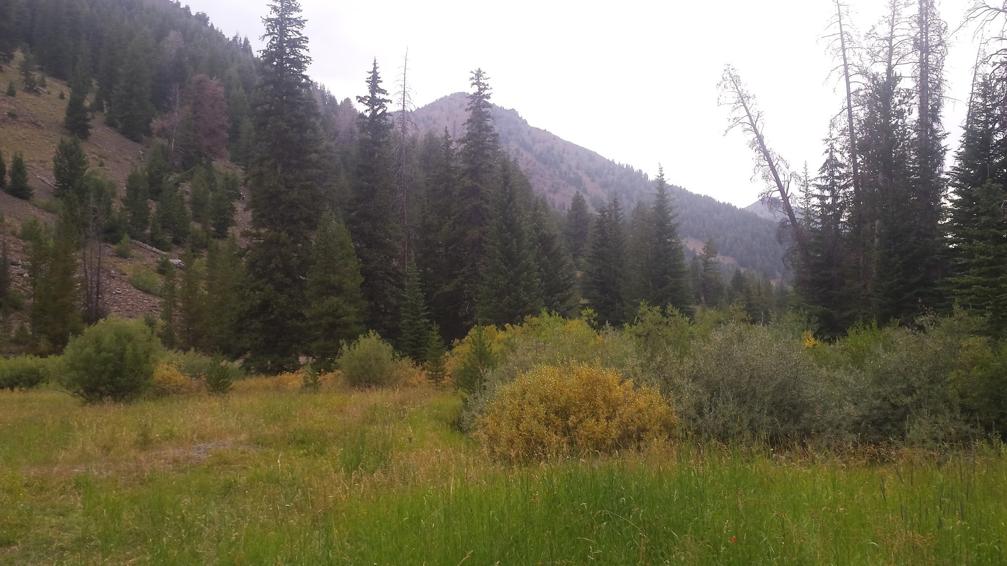 Park Creek Campground